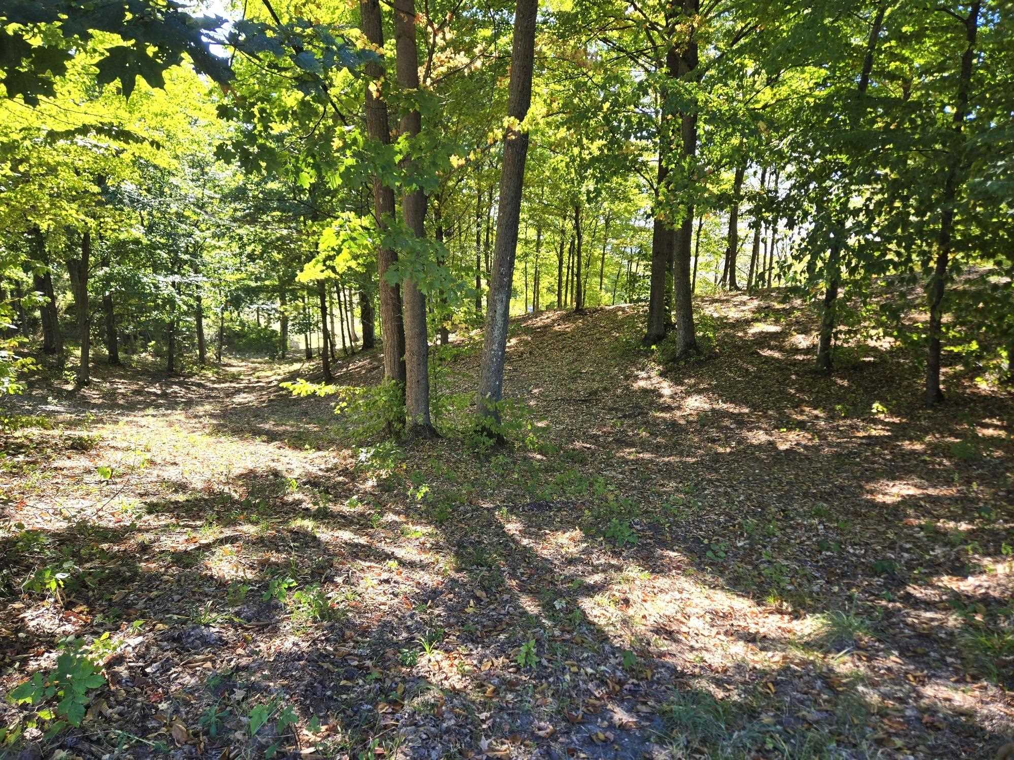 0013 Heather Ridge Trail Homestead Township MI 49617