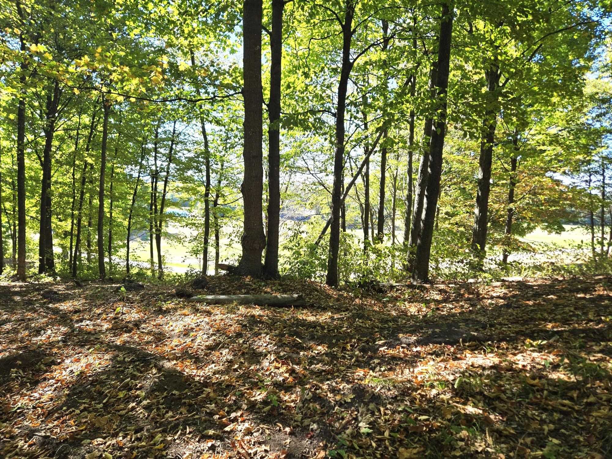 0013 Heather Ridge Trail Homestead Township MI 49617