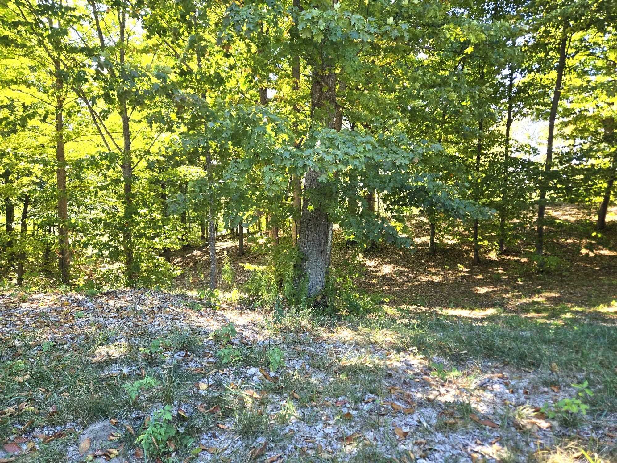 0013 Heather Ridge Trail Homestead Township MI 49617