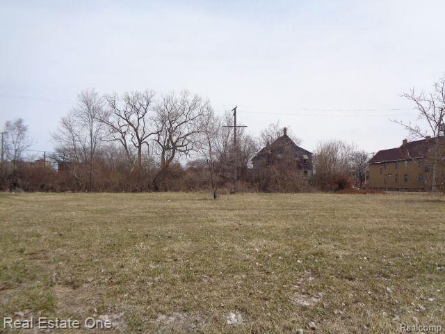 600 Concord Street Detroit City MI 48207