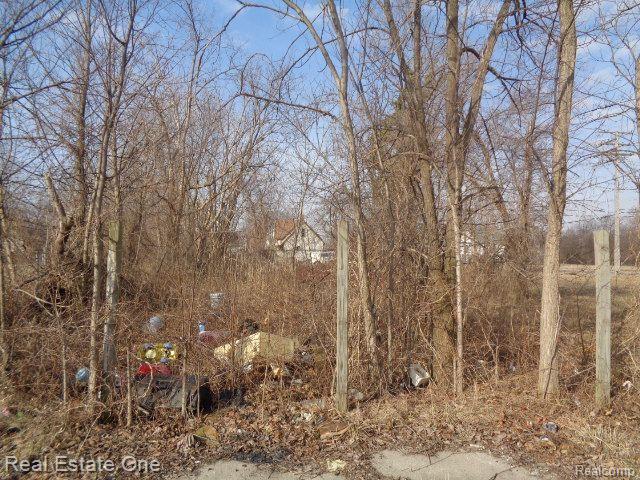 4293 16th Street Detroit City MI 48208