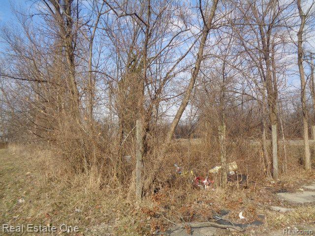 4293 16th Street Detroit City MI 48208