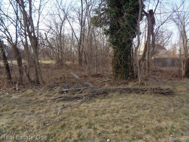 4293 16th Street Detroit City MI 48208