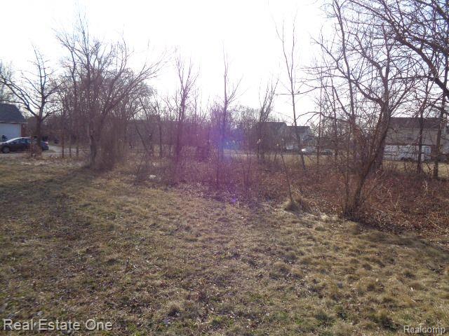 4293 16th Street Detroit City MI 48208