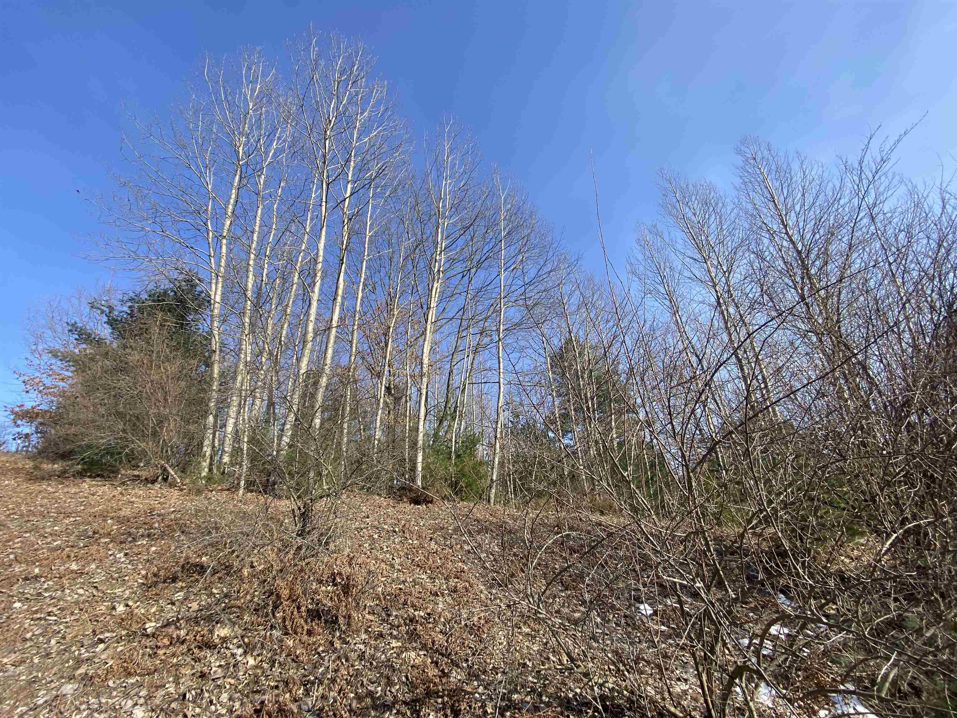 Lot 34 Scenic Hills Drive Acme Township MI 49690