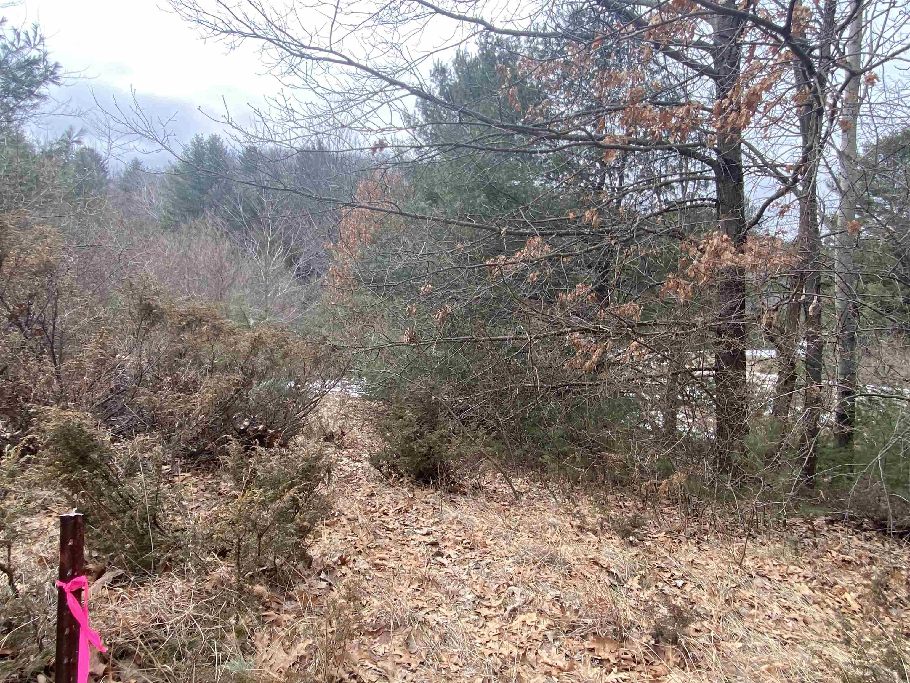 Lot 34 Scenic Hills Drive Acme Township MI 49690