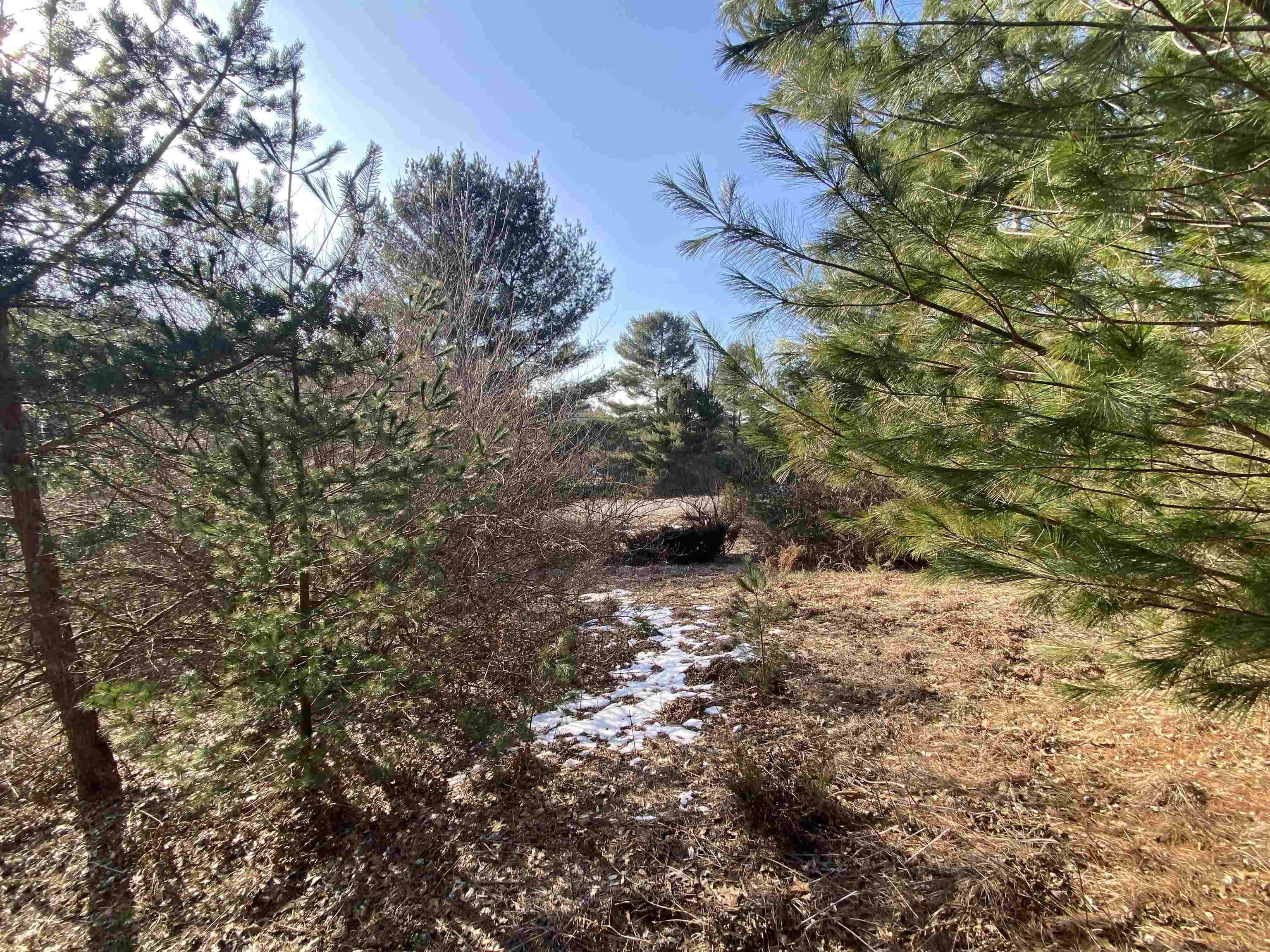 Lot 34 Scenic Hills Drive Acme Township MI 49690