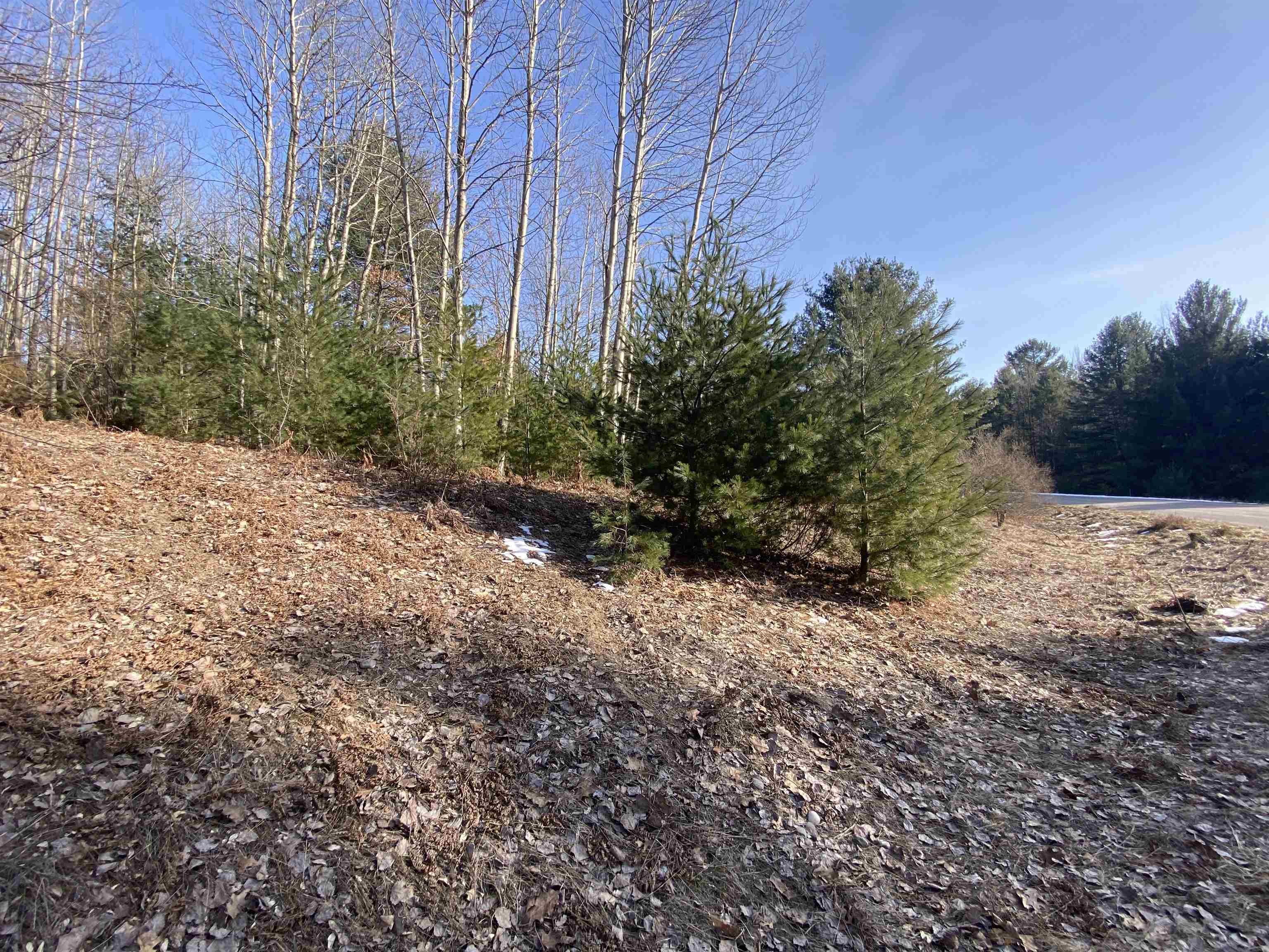 Lot 34 Scenic Hills Drive Acme Township MI 49690