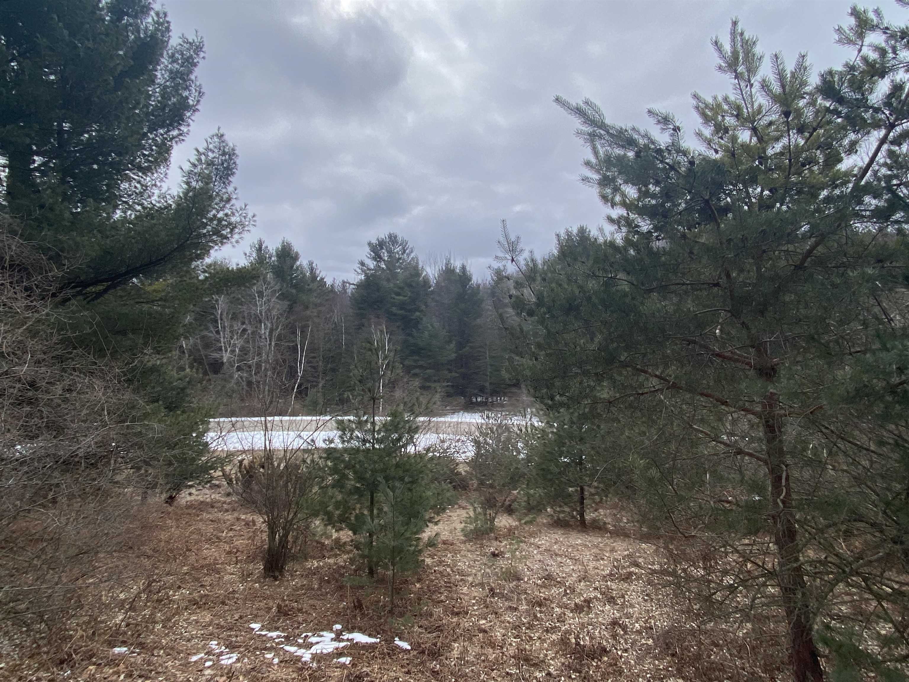 Lot 34 Scenic Hills Drive Acme Township MI 49690