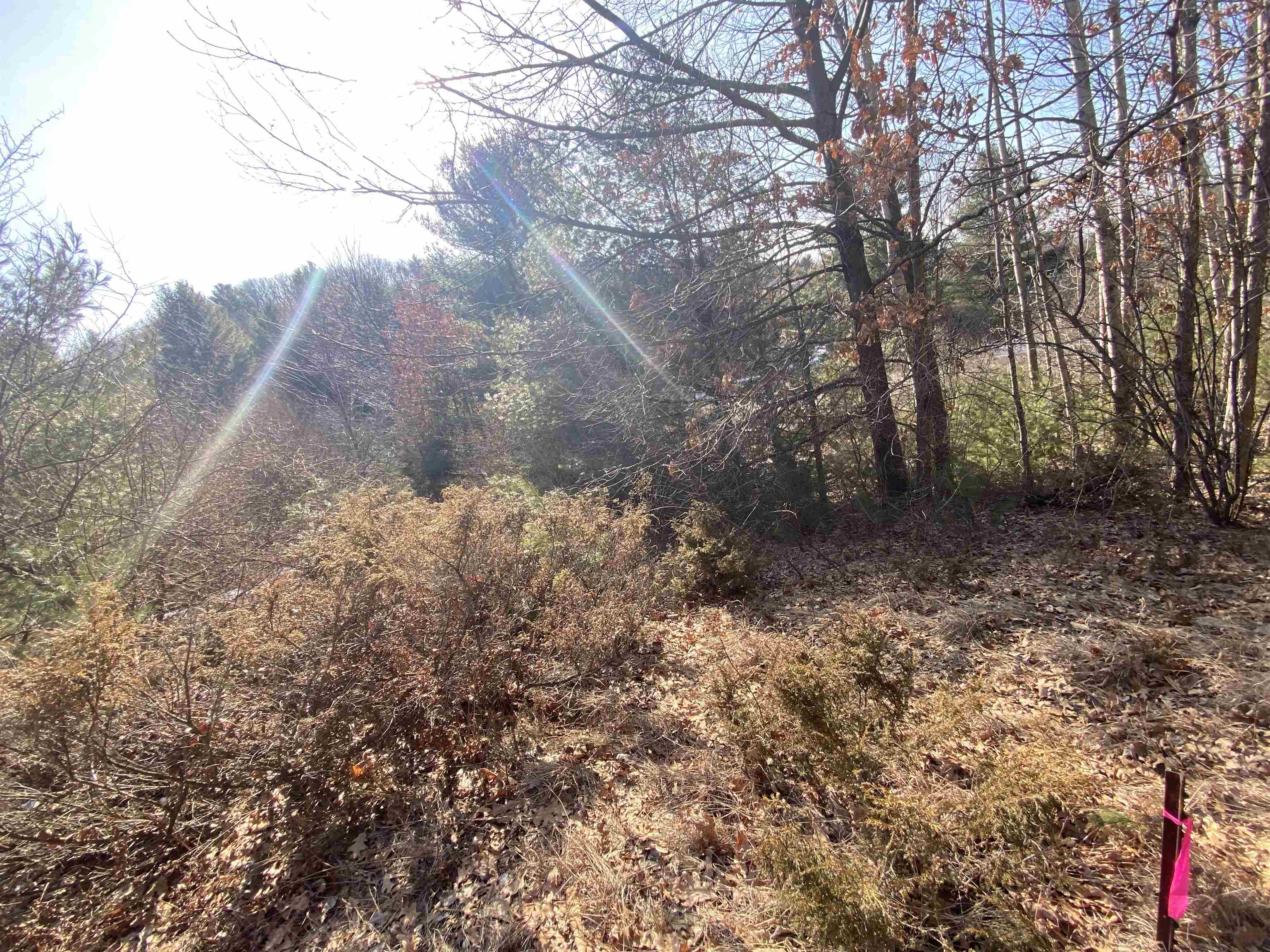 Lot 34 Scenic Hills Drive Acme Township MI 49690