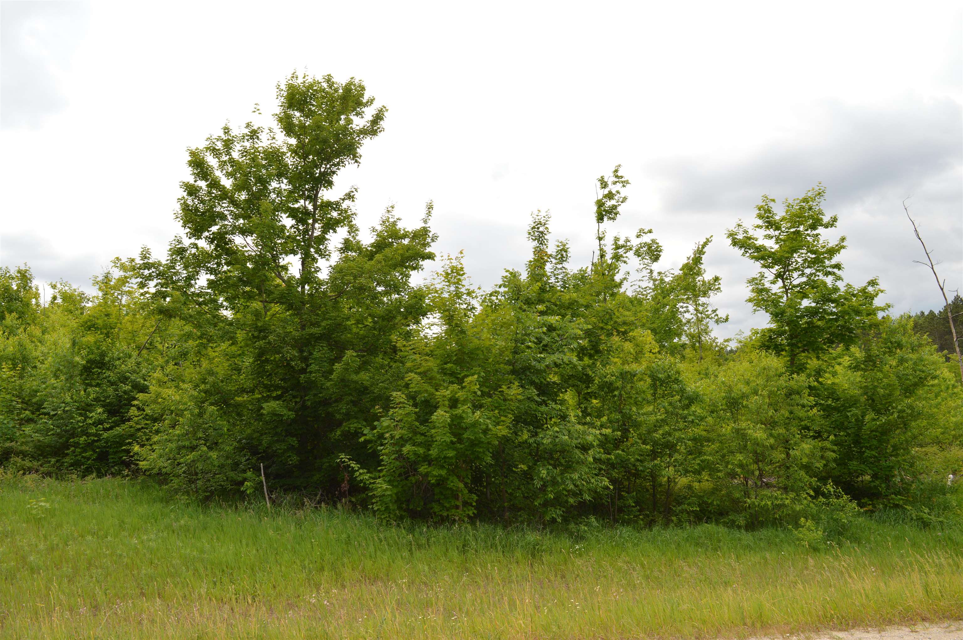 I Summit City Road Paradise Township MI 49649