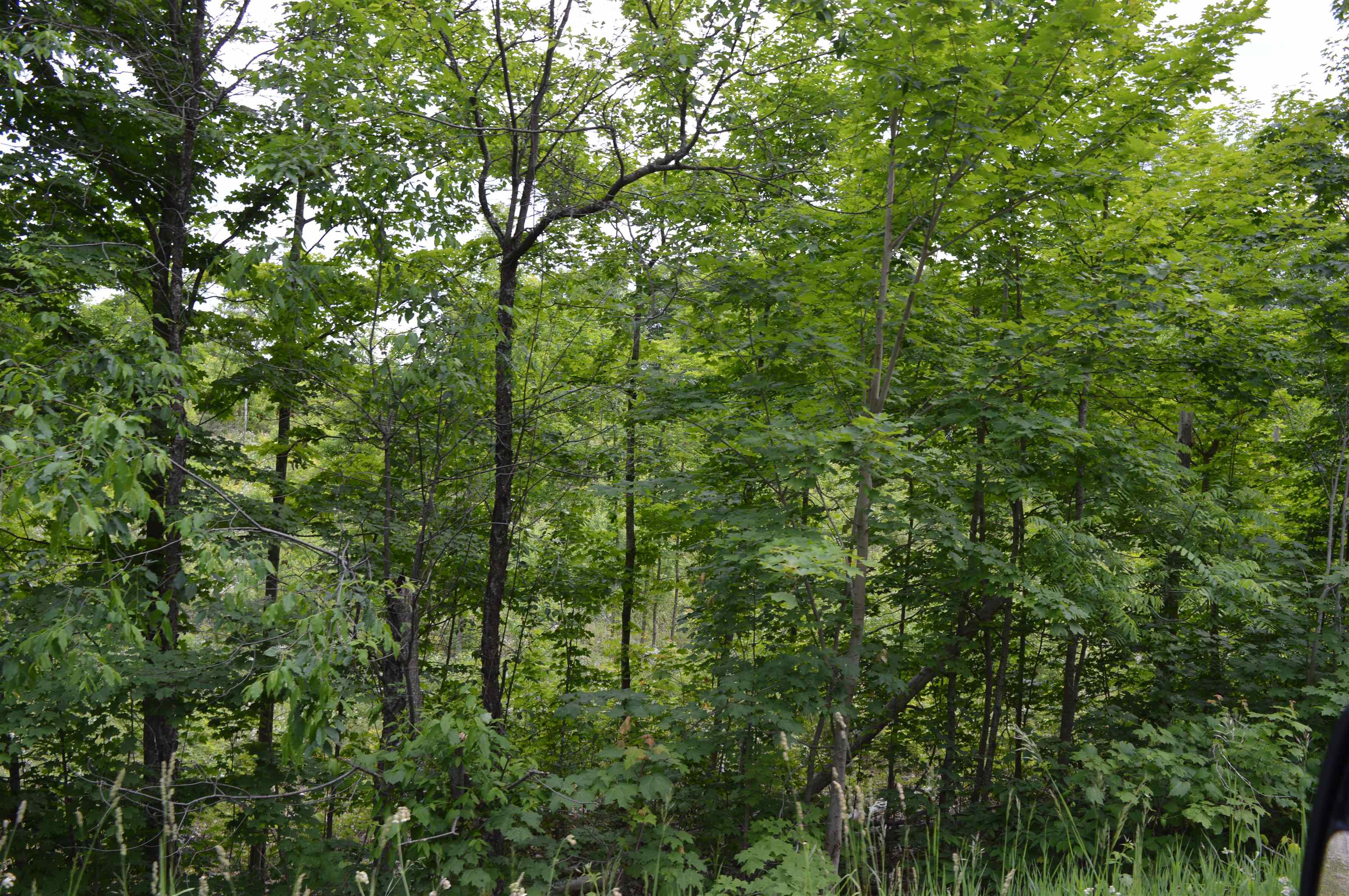 I Summit City Road Paradise Township MI 49649