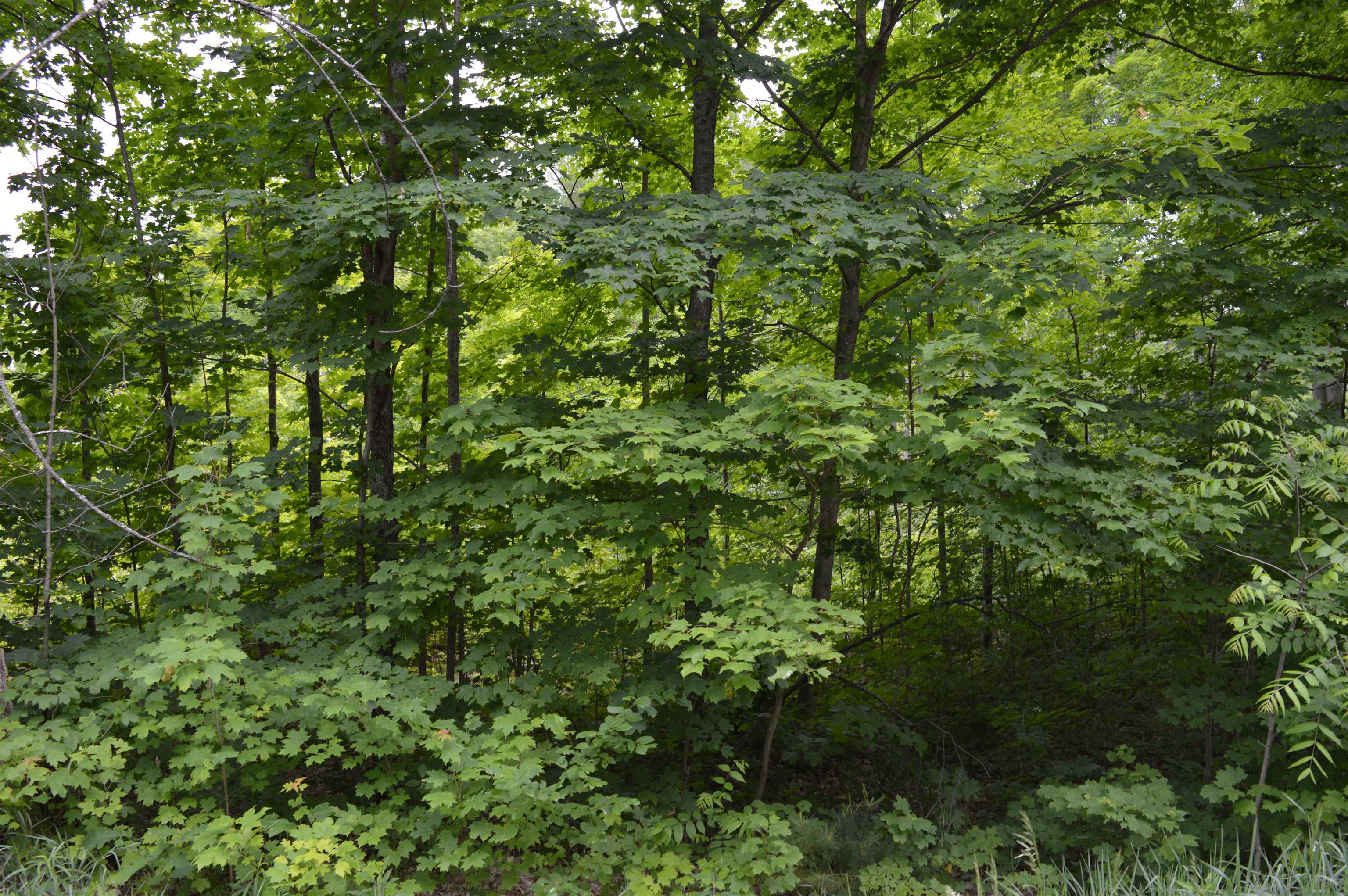 I Summit City Road Paradise Township MI 49649