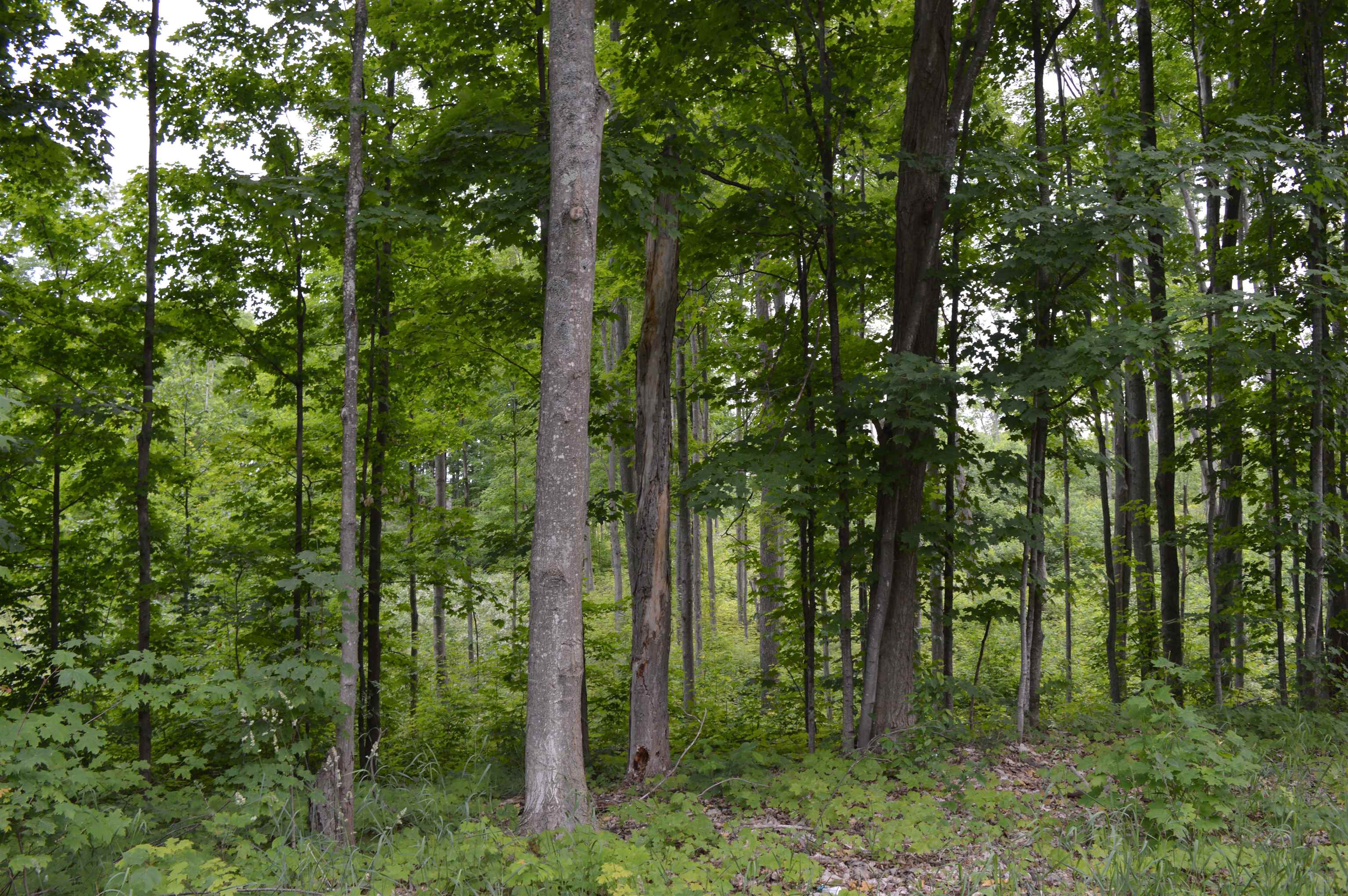 I Summit City Road Paradise Township MI 49649