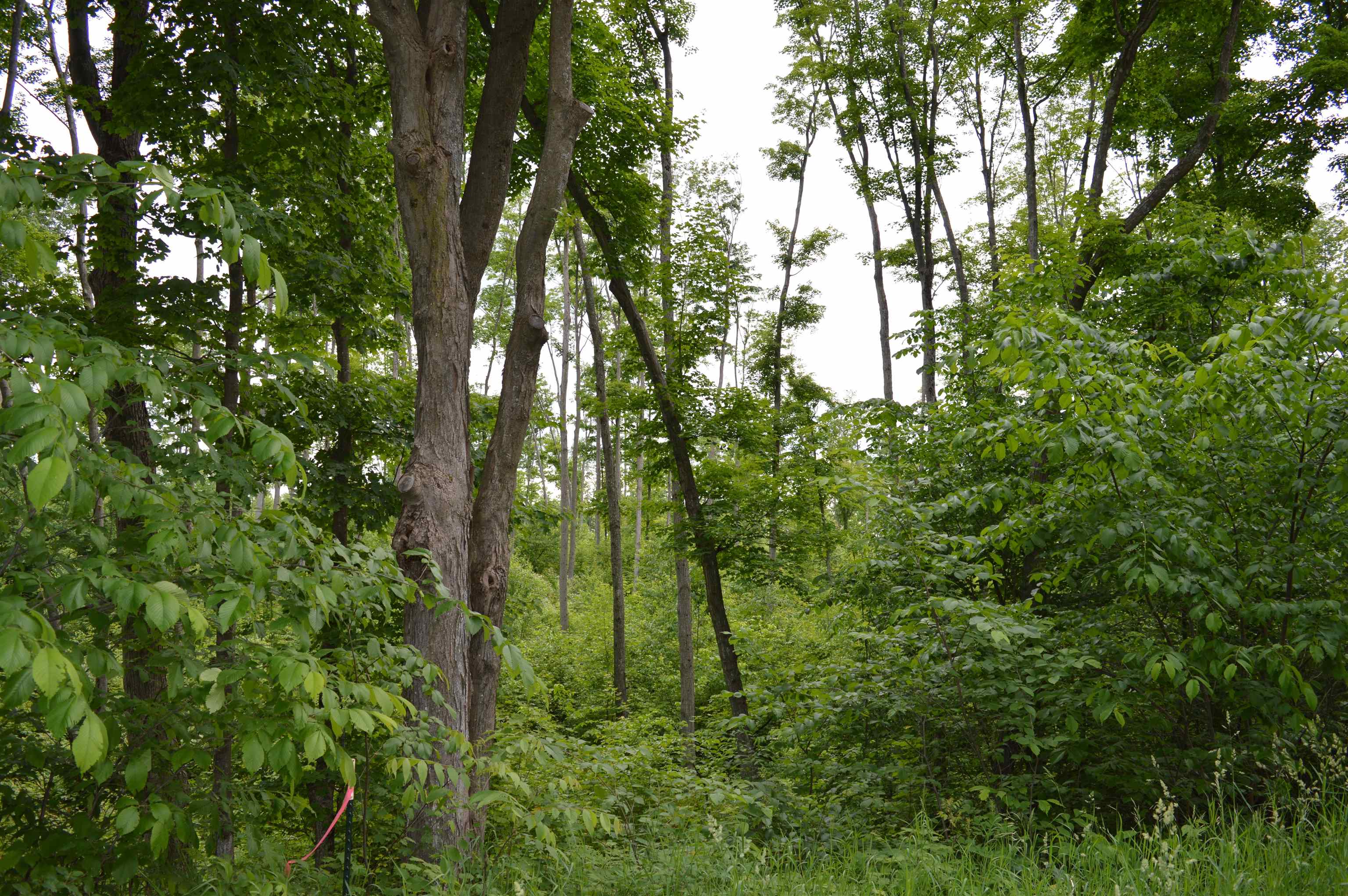 I Summit City Road Paradise Township MI 49649
