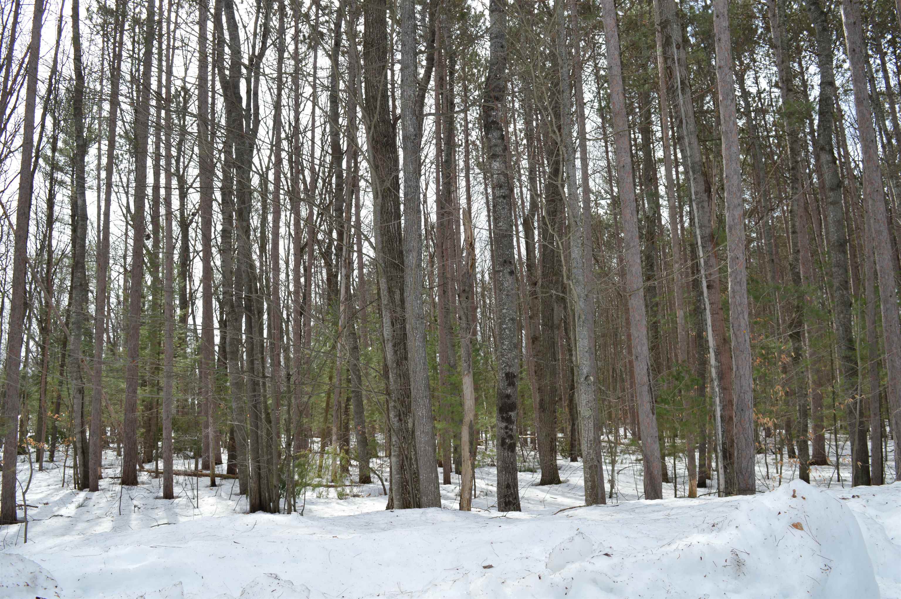 773 Golf Side Drive Kalkaska Township MI 49646