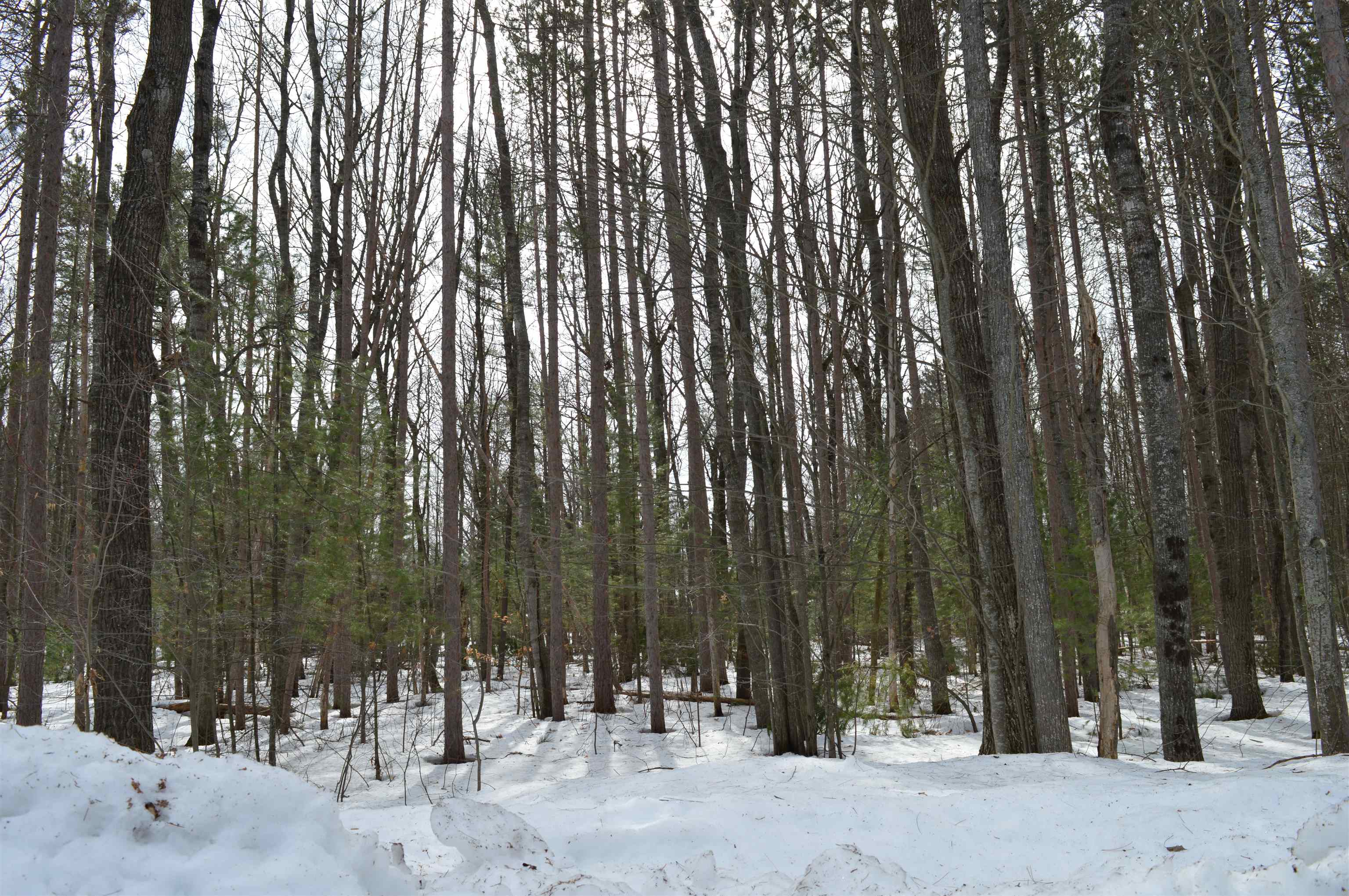 773 Golf Side Drive Kalkaska Township MI 49646