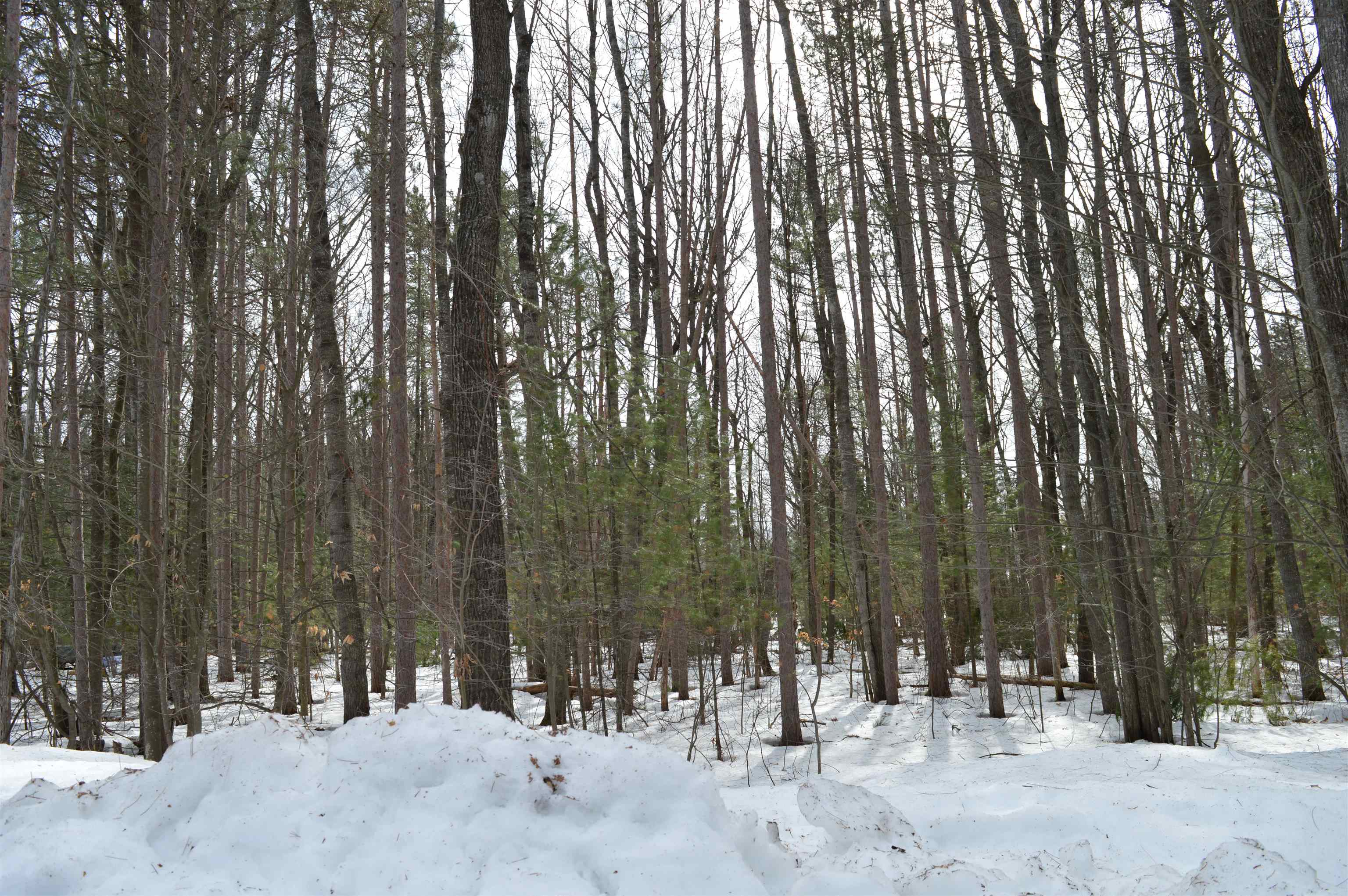 773 Golf Side Drive Kalkaska Township MI 49646
