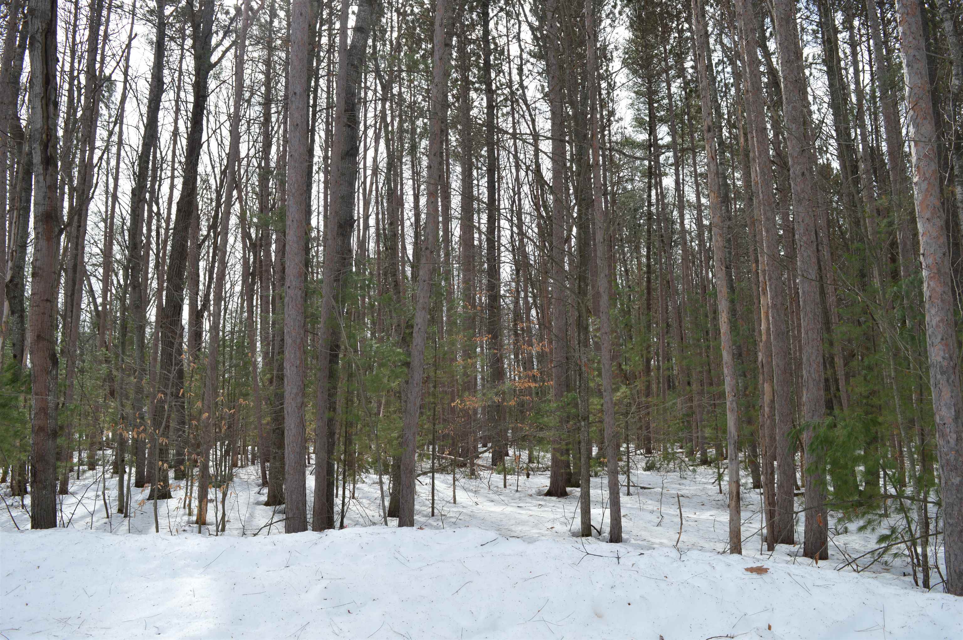 773 Golf Side Drive Kalkaska Township MI 49646