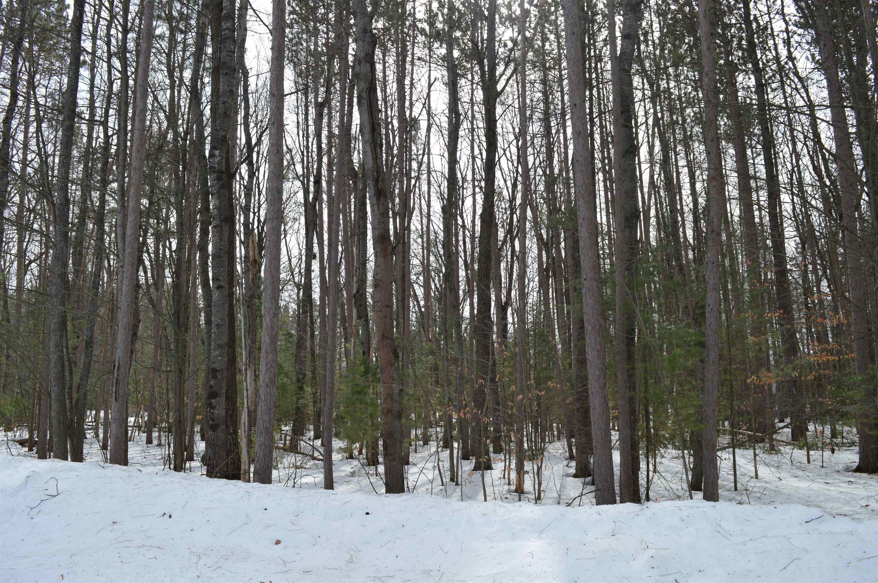 773 Golf Side Drive Kalkaska Township MI 49646