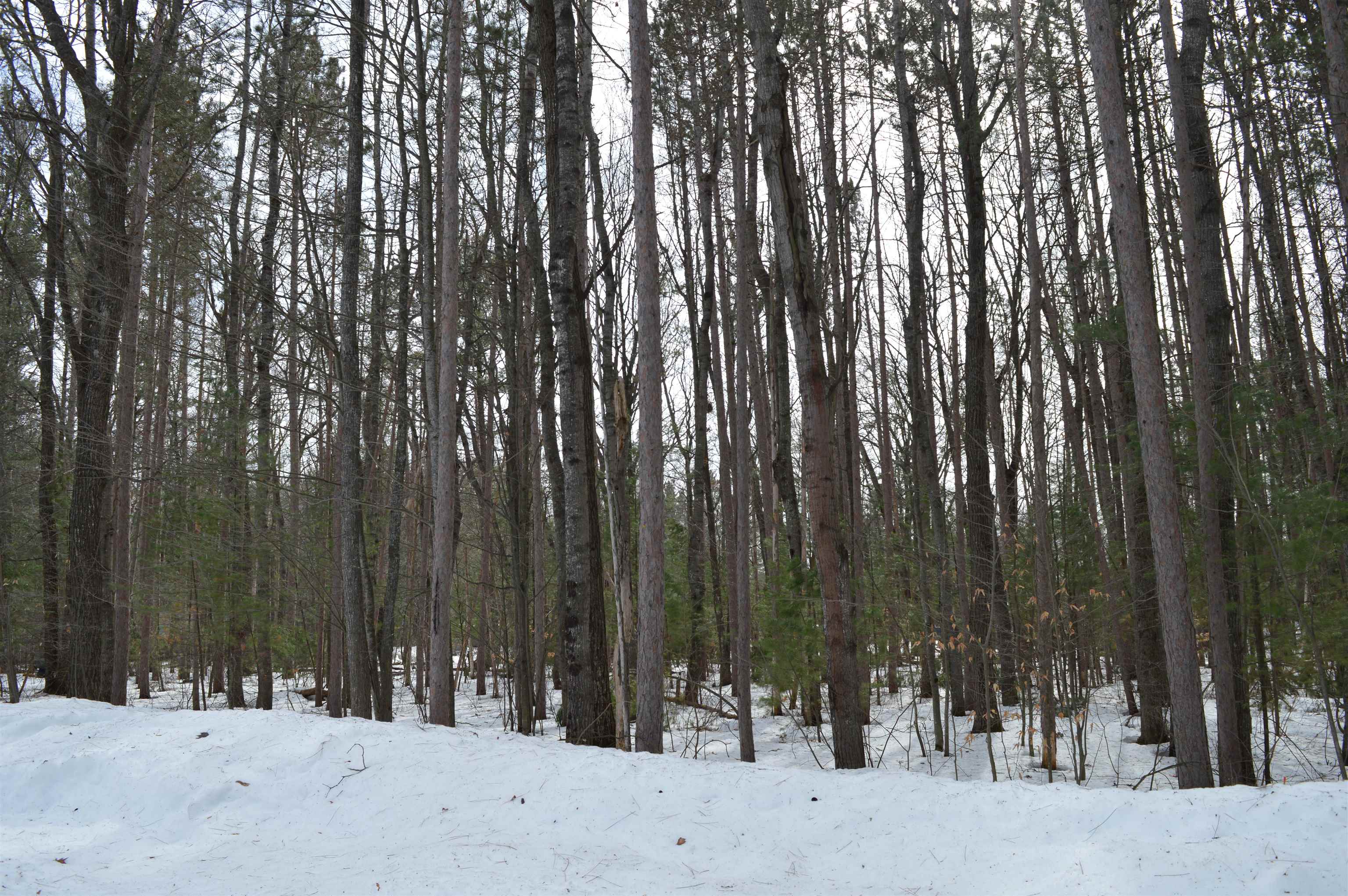 773 Golf Side Drive Kalkaska Township MI 49646