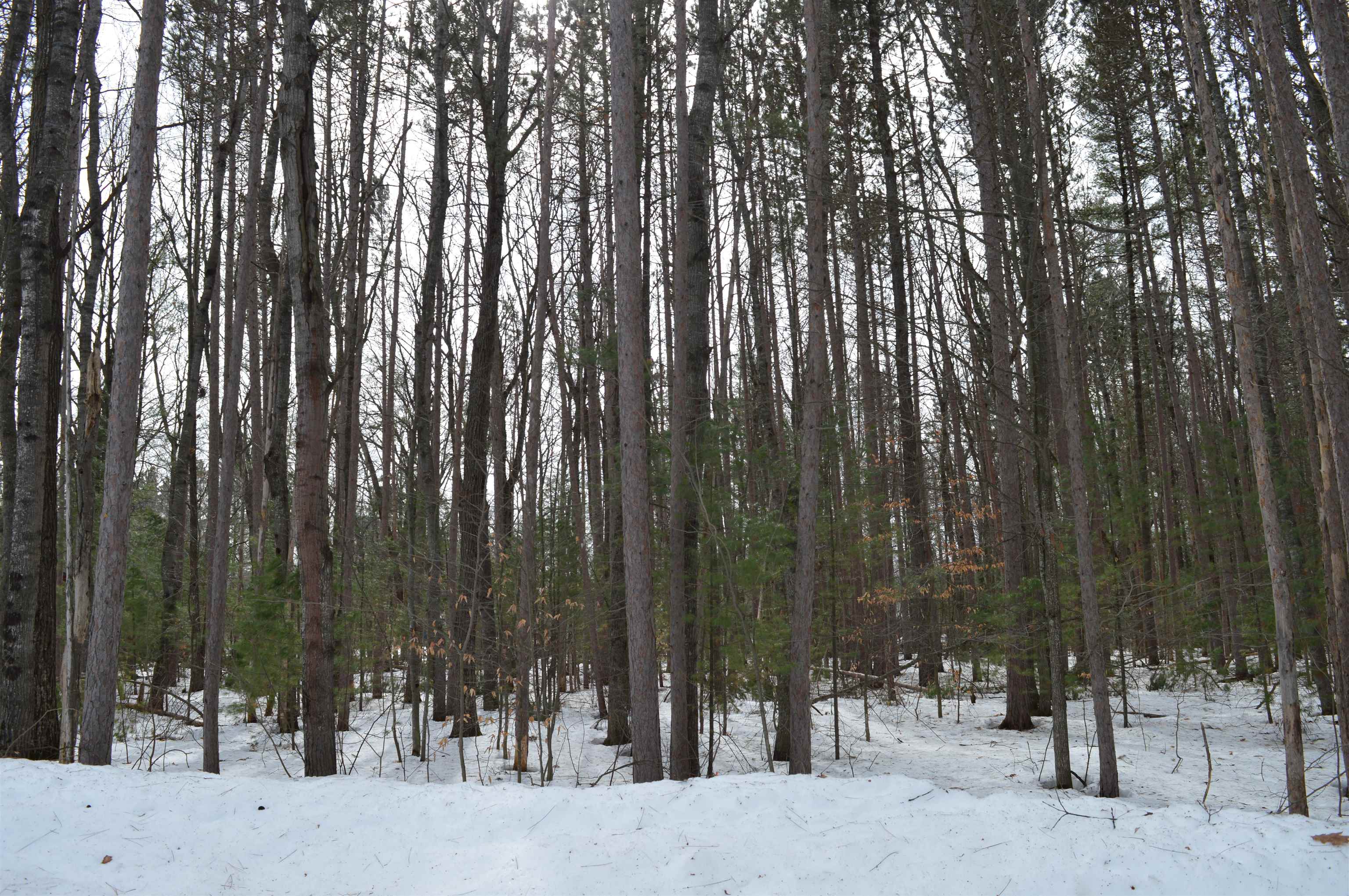 773 Golf Side Drive Kalkaska Township MI 49646