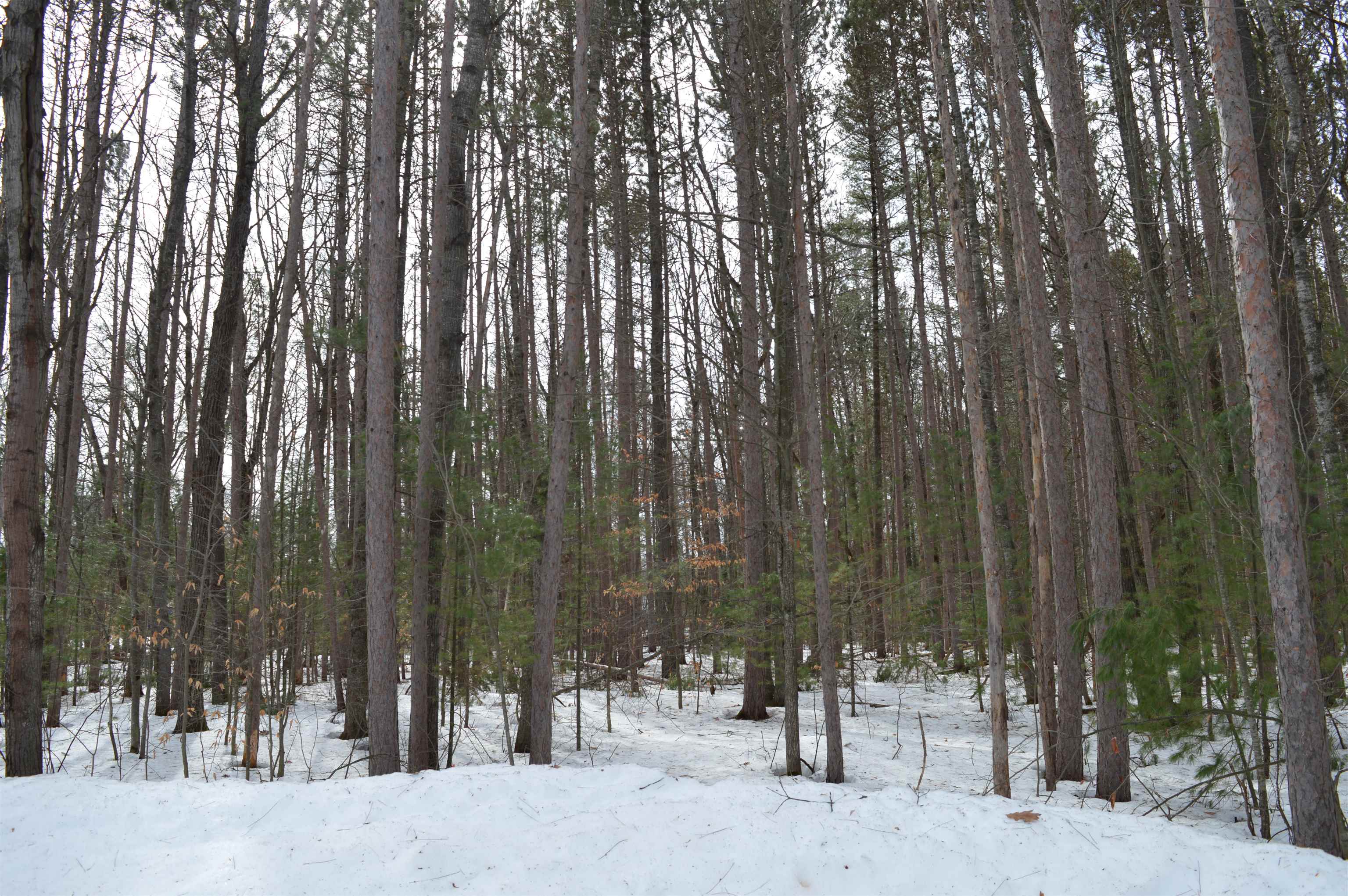 773 Golf Side Drive Kalkaska Township MI 49646