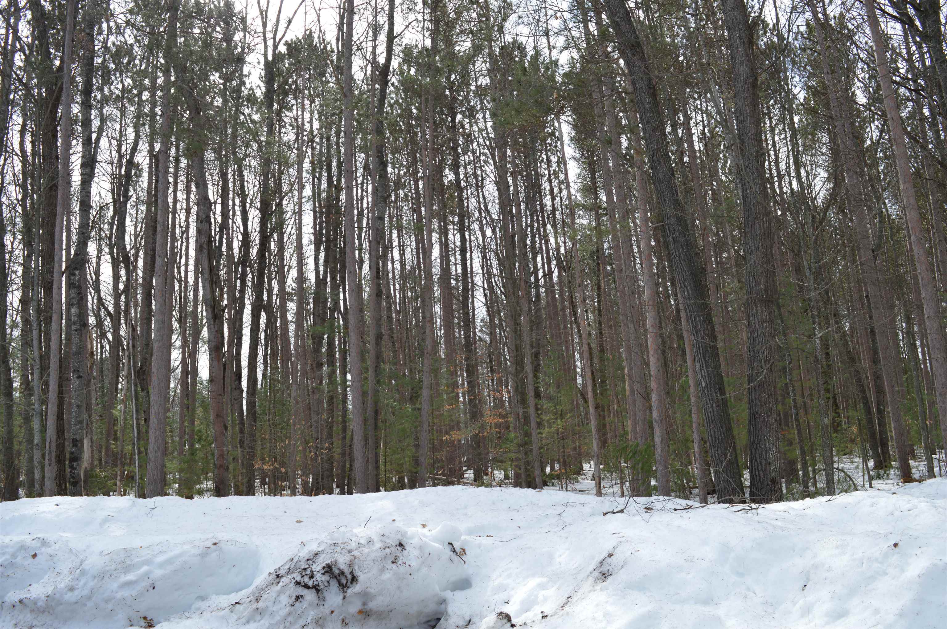 773 Golf Side Drive Kalkaska Township MI 49646