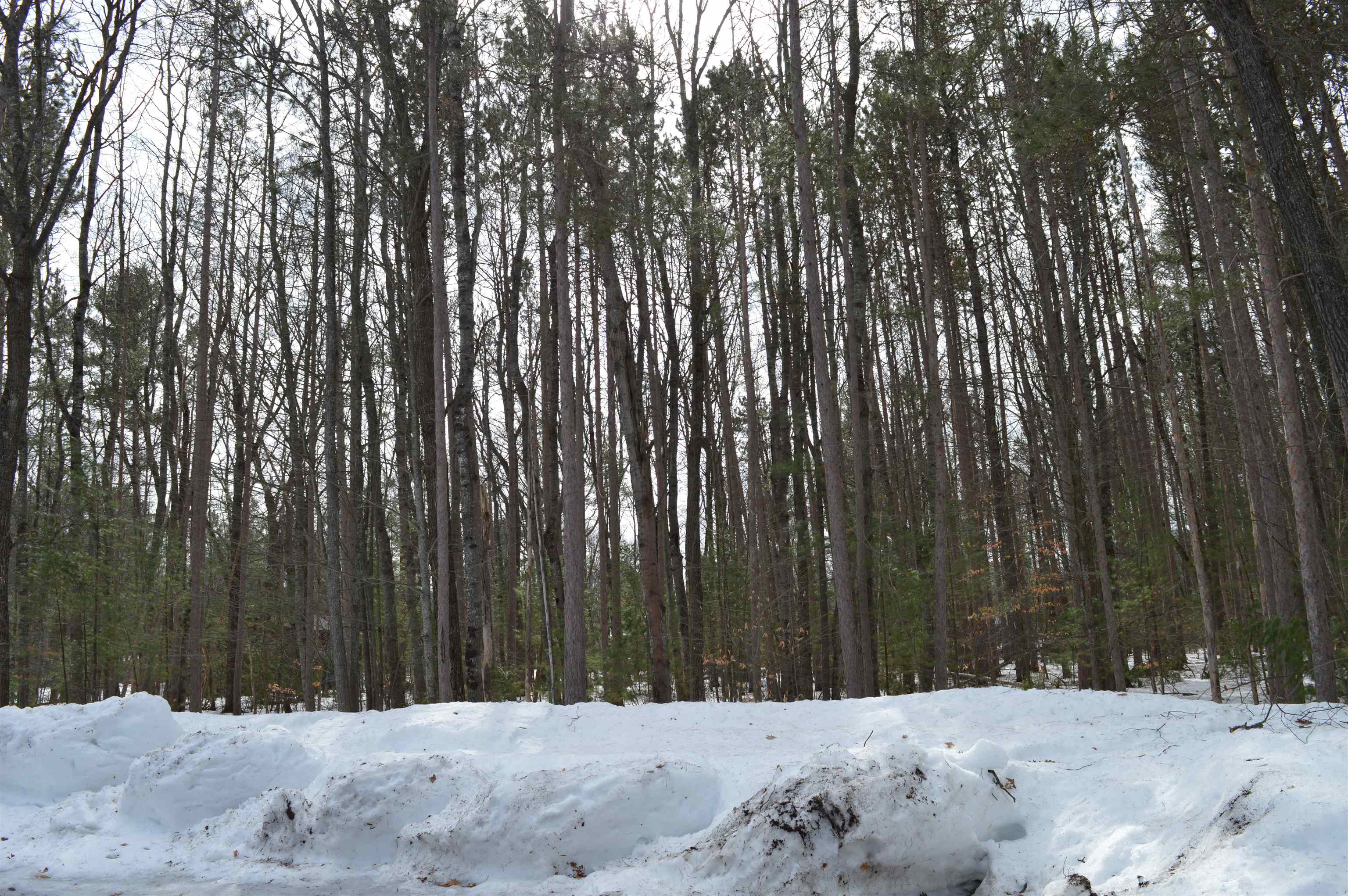 773 Golf Side Drive Kalkaska Township MI 49646