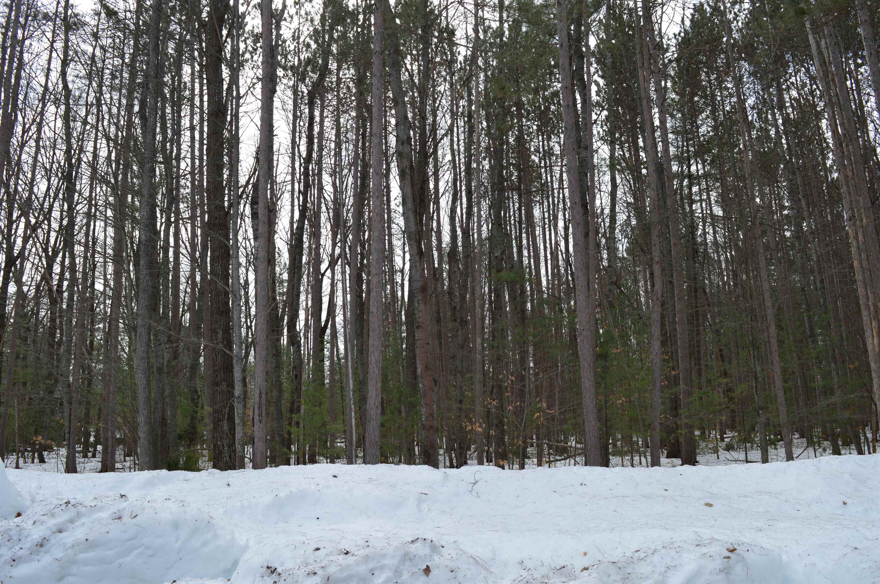 773 Golf Side Drive Kalkaska Township MI 49646