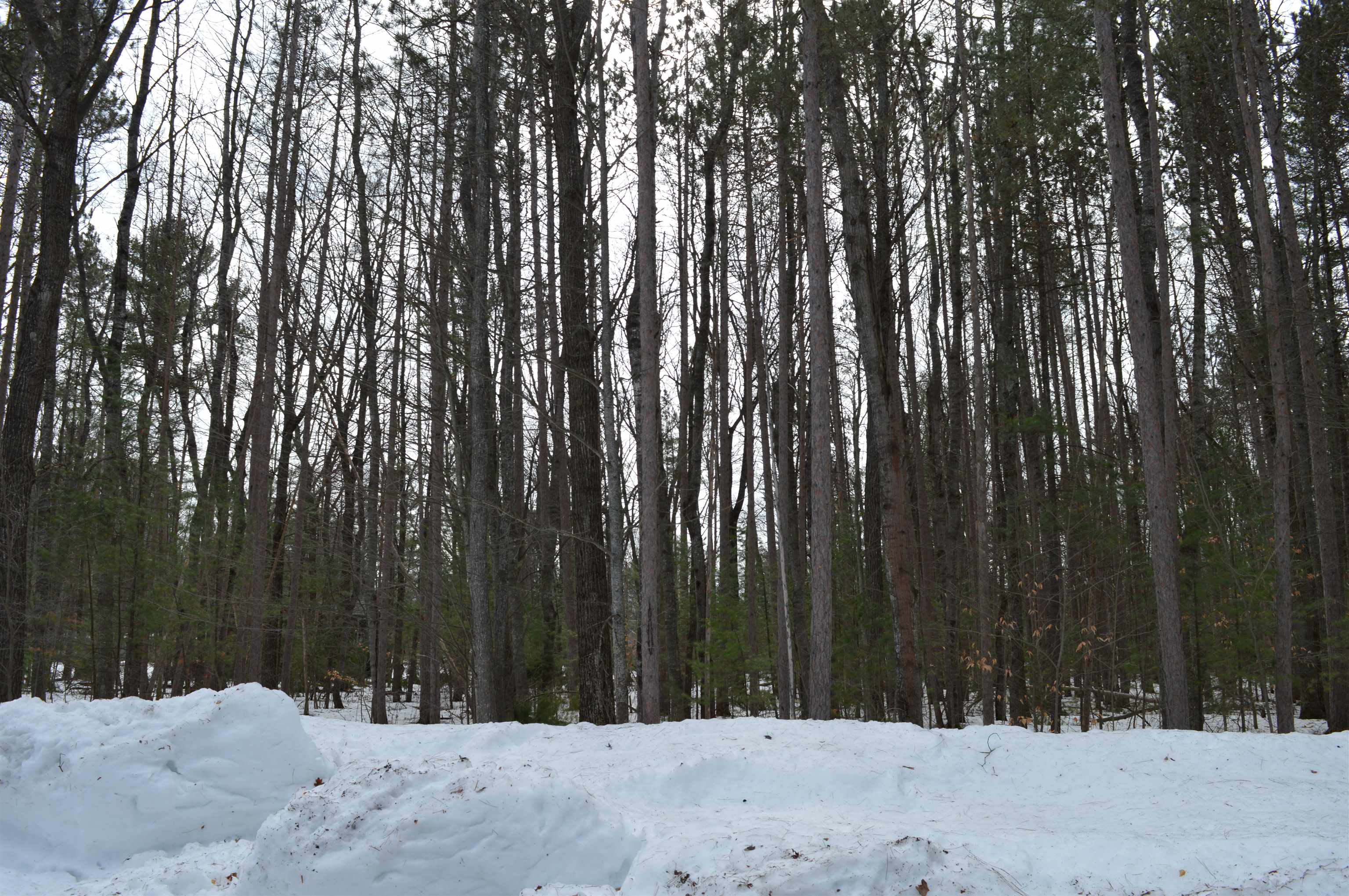 773 Golf Side Drive Kalkaska Township MI 49646