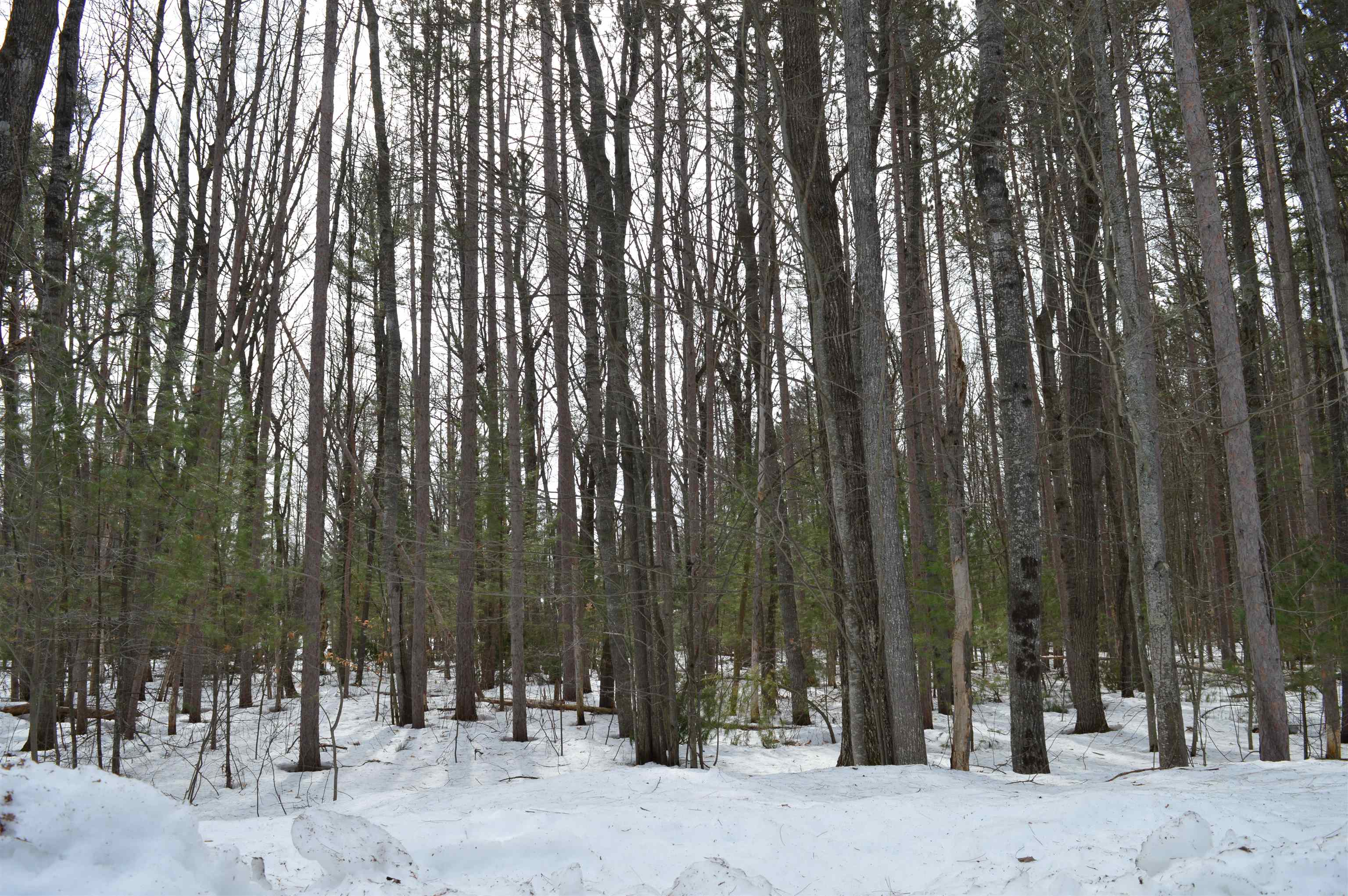 773 Golf Side Drive Kalkaska Township MI 49646