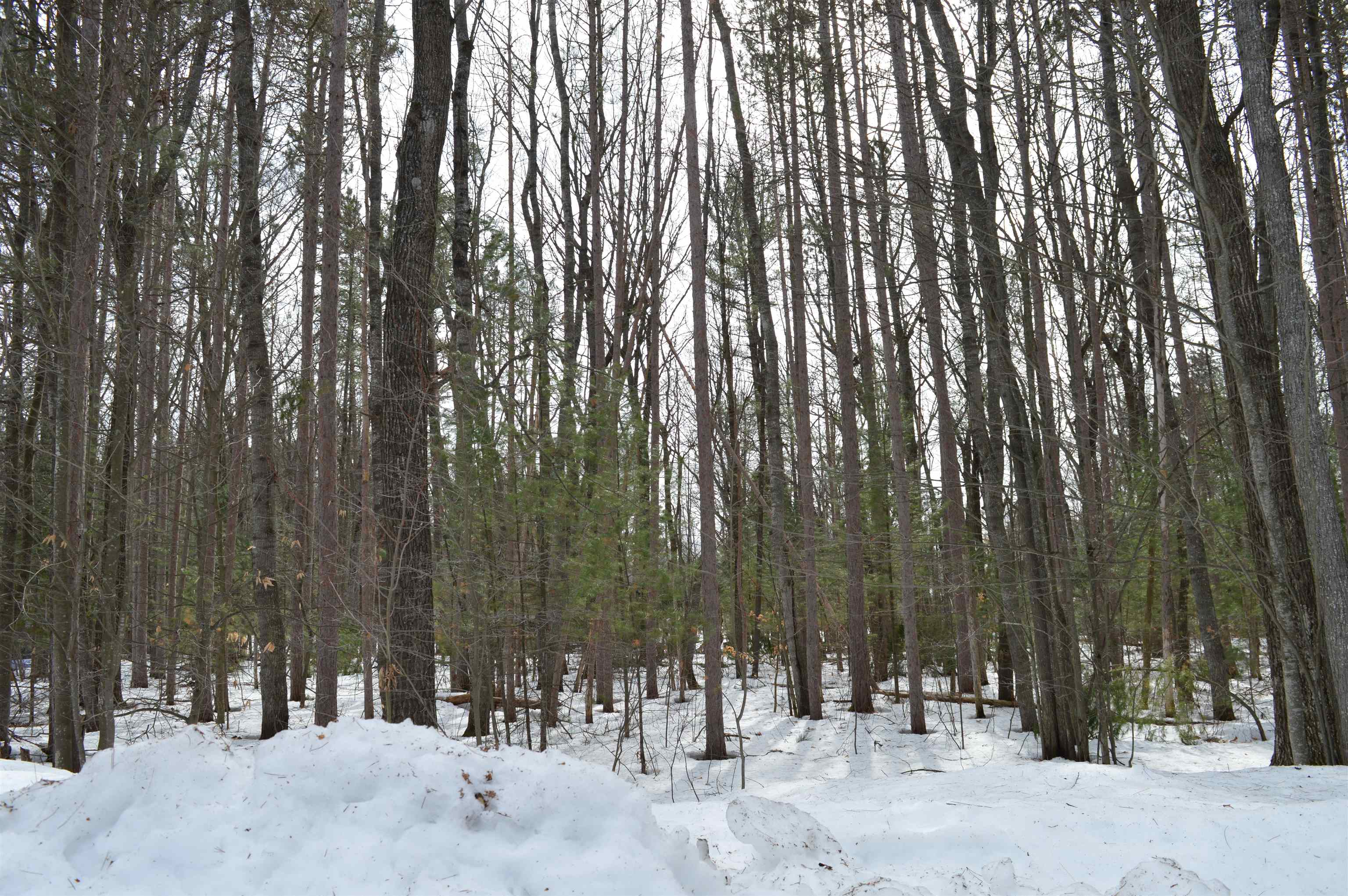 773 Golf Side Drive Kalkaska Township MI 49646