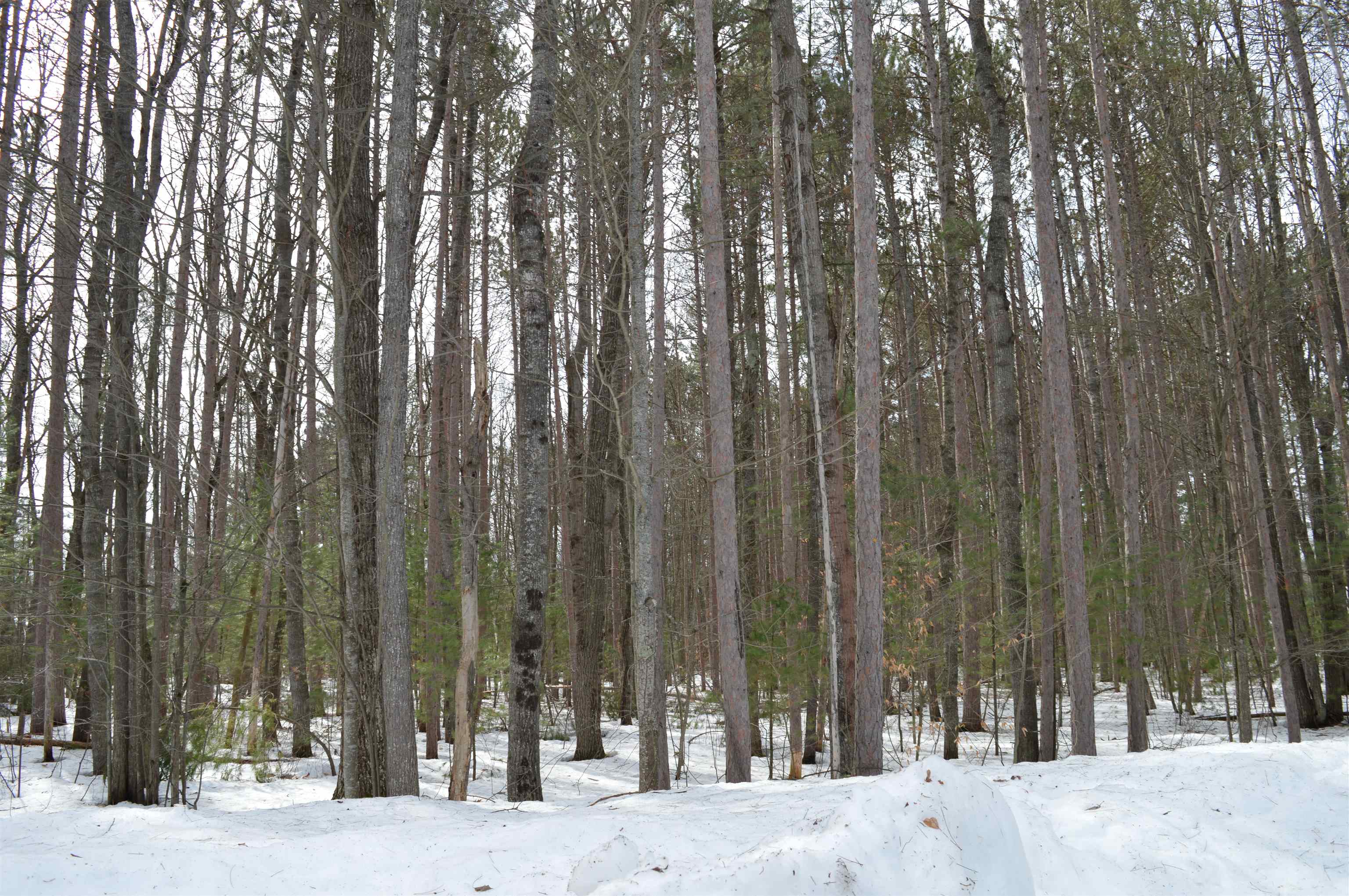 773 Golf Side Drive Kalkaska Township MI 49646