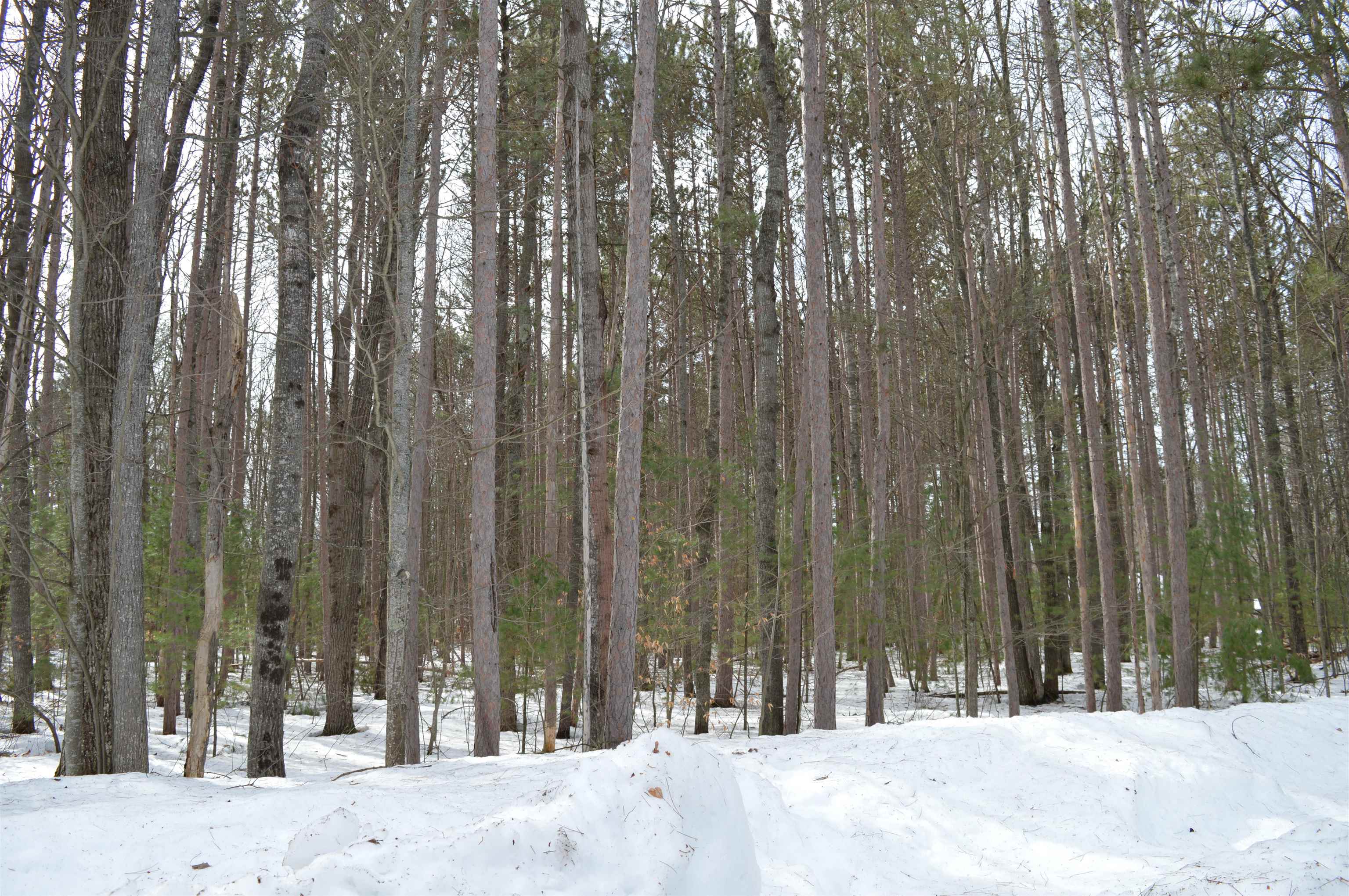 773 Golf Side Drive Kalkaska Township MI 49646