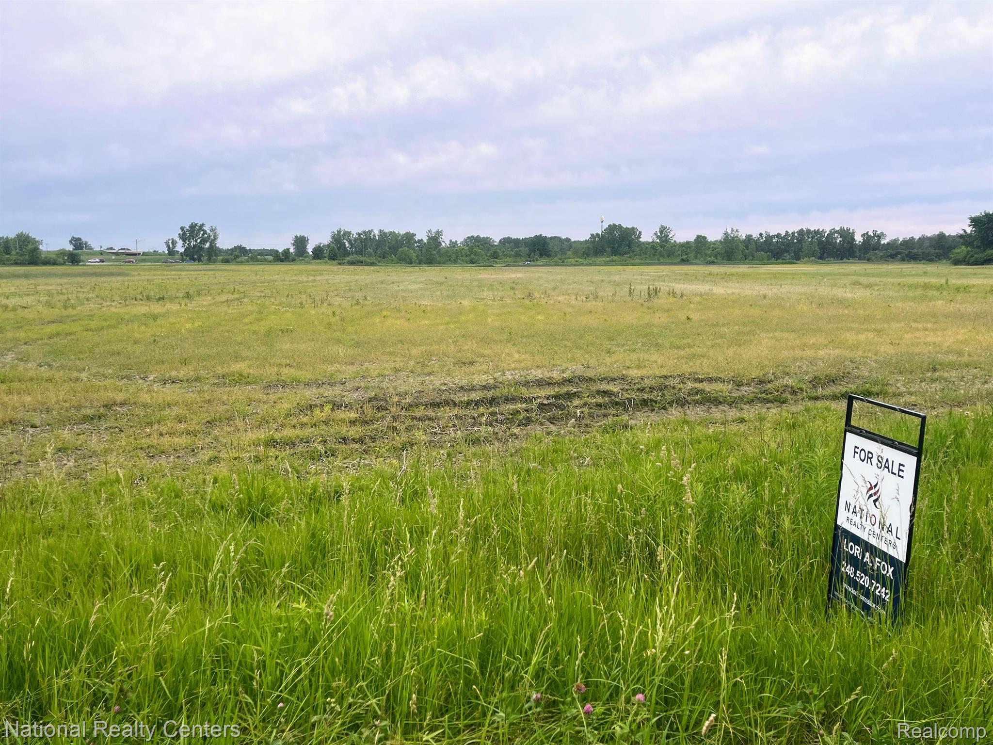 Parcel F Sharrard Road Berlin Township MI 48002