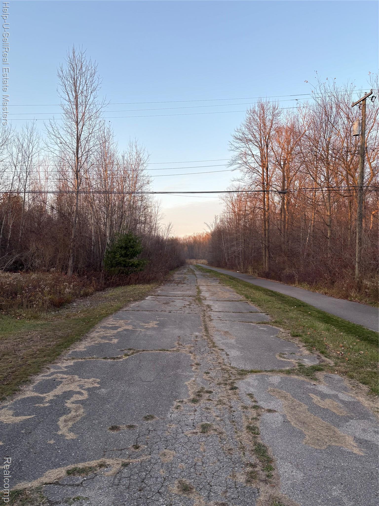 Tbd Metcalf Road Burtchville Township MI 48059