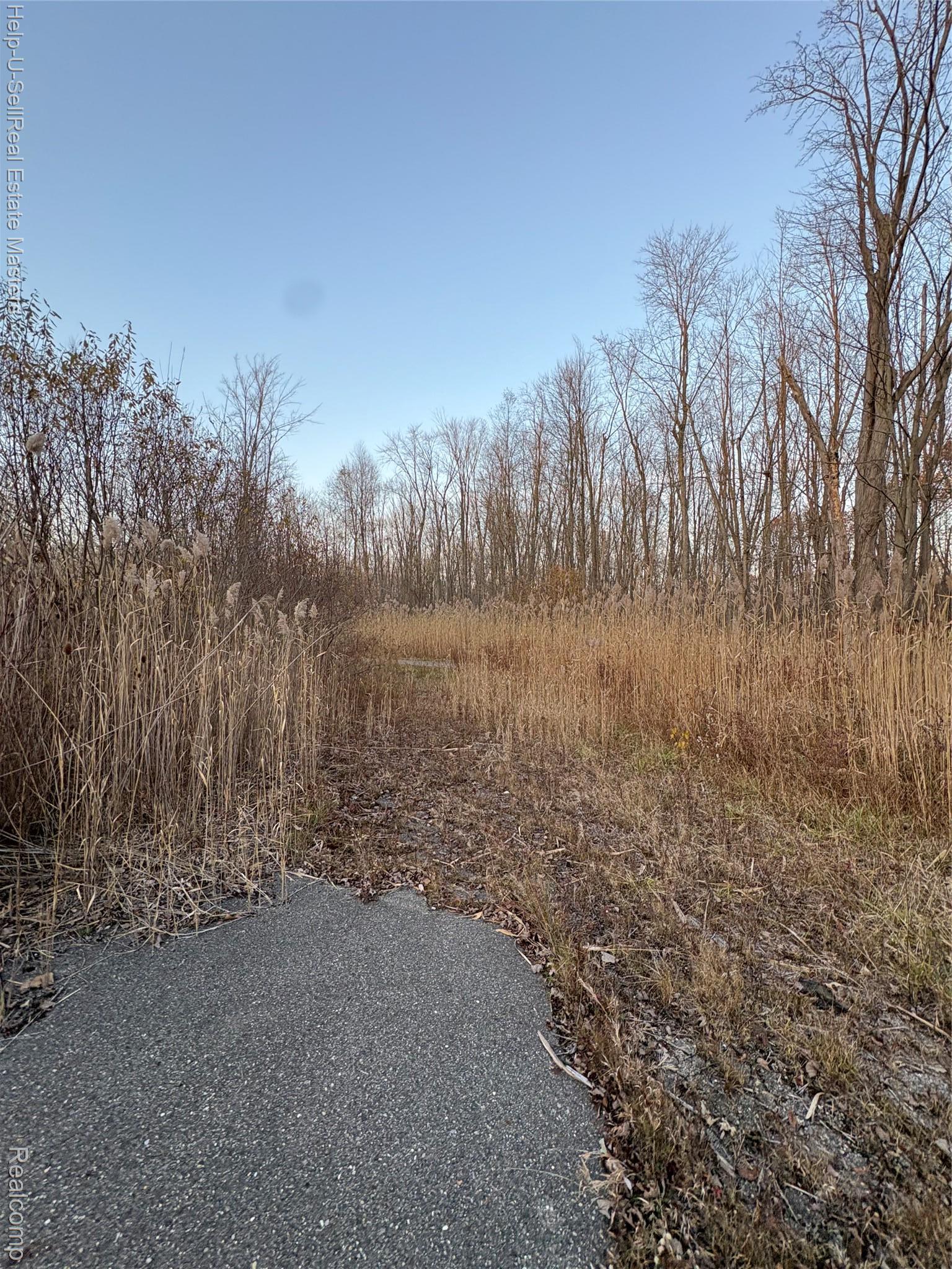 Tbd Metcalf Road Burtchville Township MI 48059