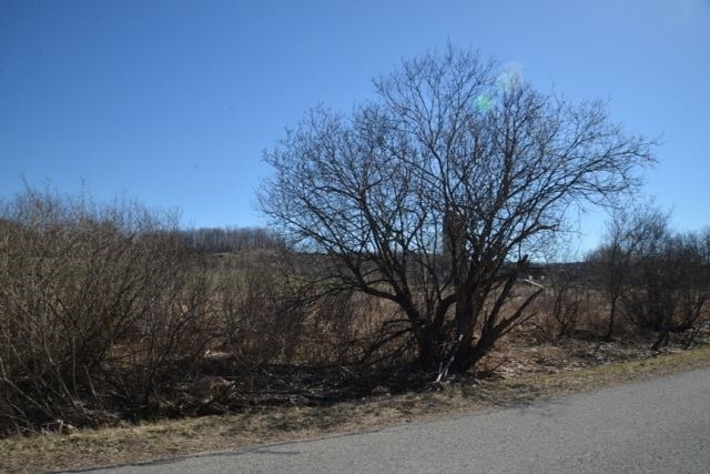 0 Wilson Road Echo Township MI 49727