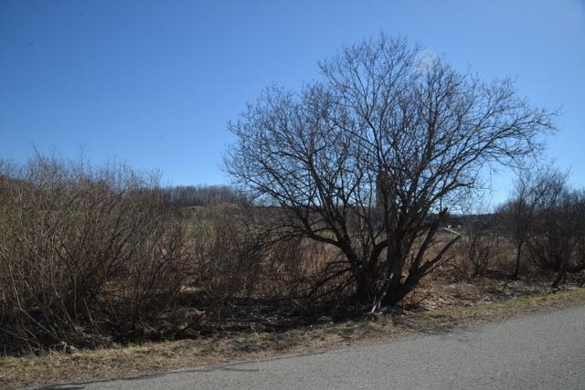 0 Wilson Road Echo Township MI 49727
