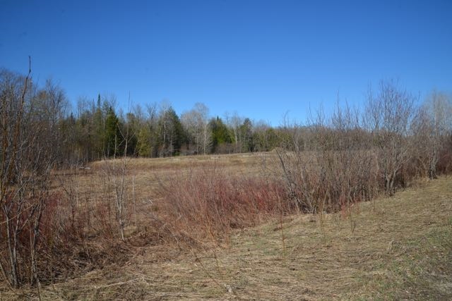0 Wilson Road Echo Township MI 49727