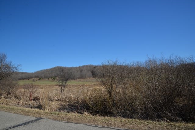 0 Wilson Road Echo Township MI 49727