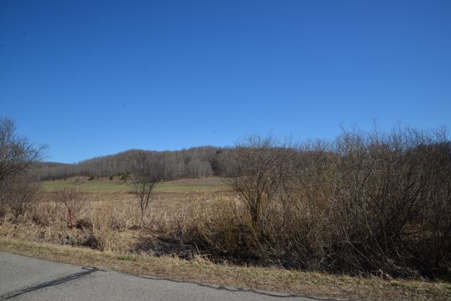 0 Wilson Road Echo Township MI 49727