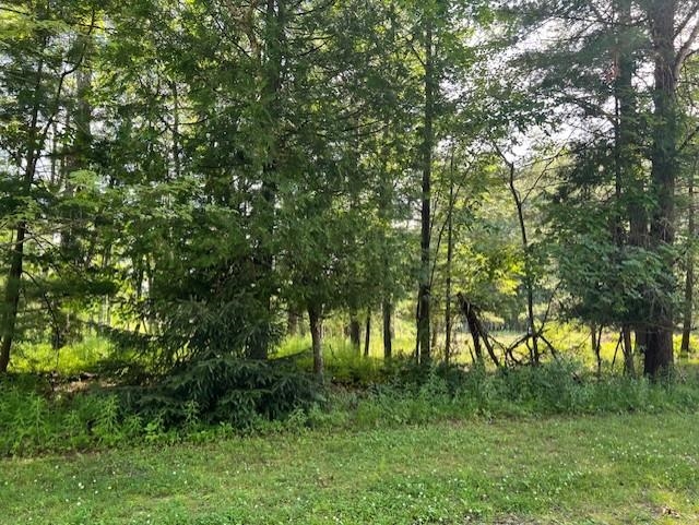 00 Ninth Avenue Tawas Township MI 48763