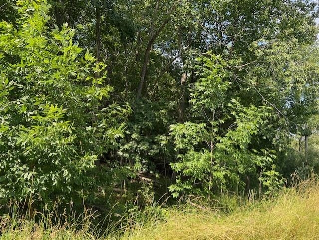 00 Ninth Avenue Tawas Township MI 48763