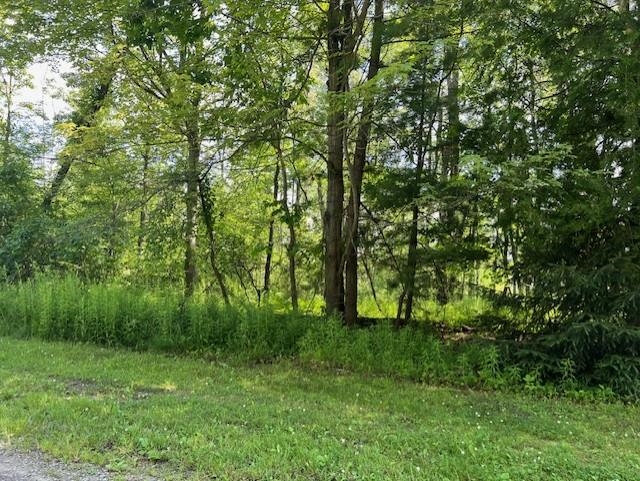 00 Ninth Avenue Tawas Township MI 48763