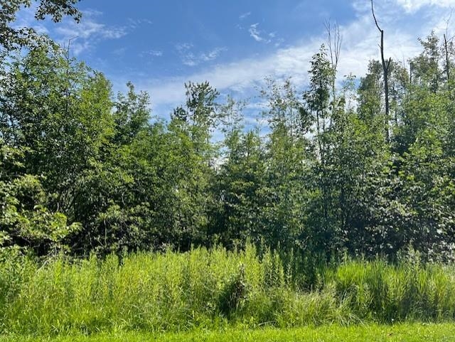 00 Ninth Avenue Tawas Township MI 48763