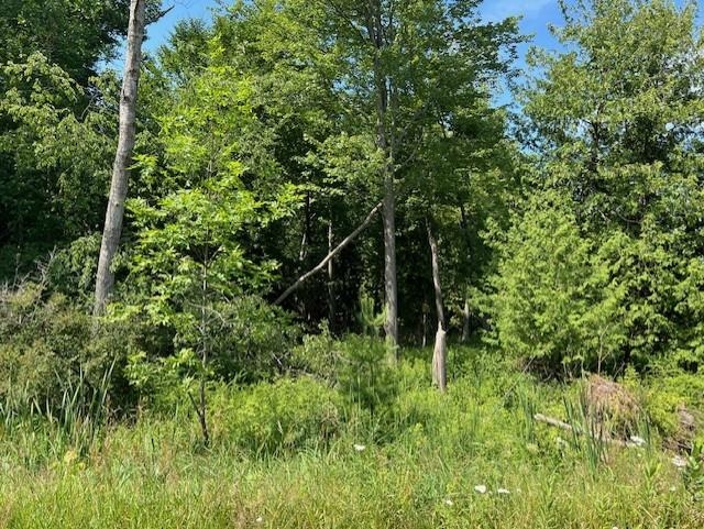 00 Ninth Avenue Tawas Township MI 48763
