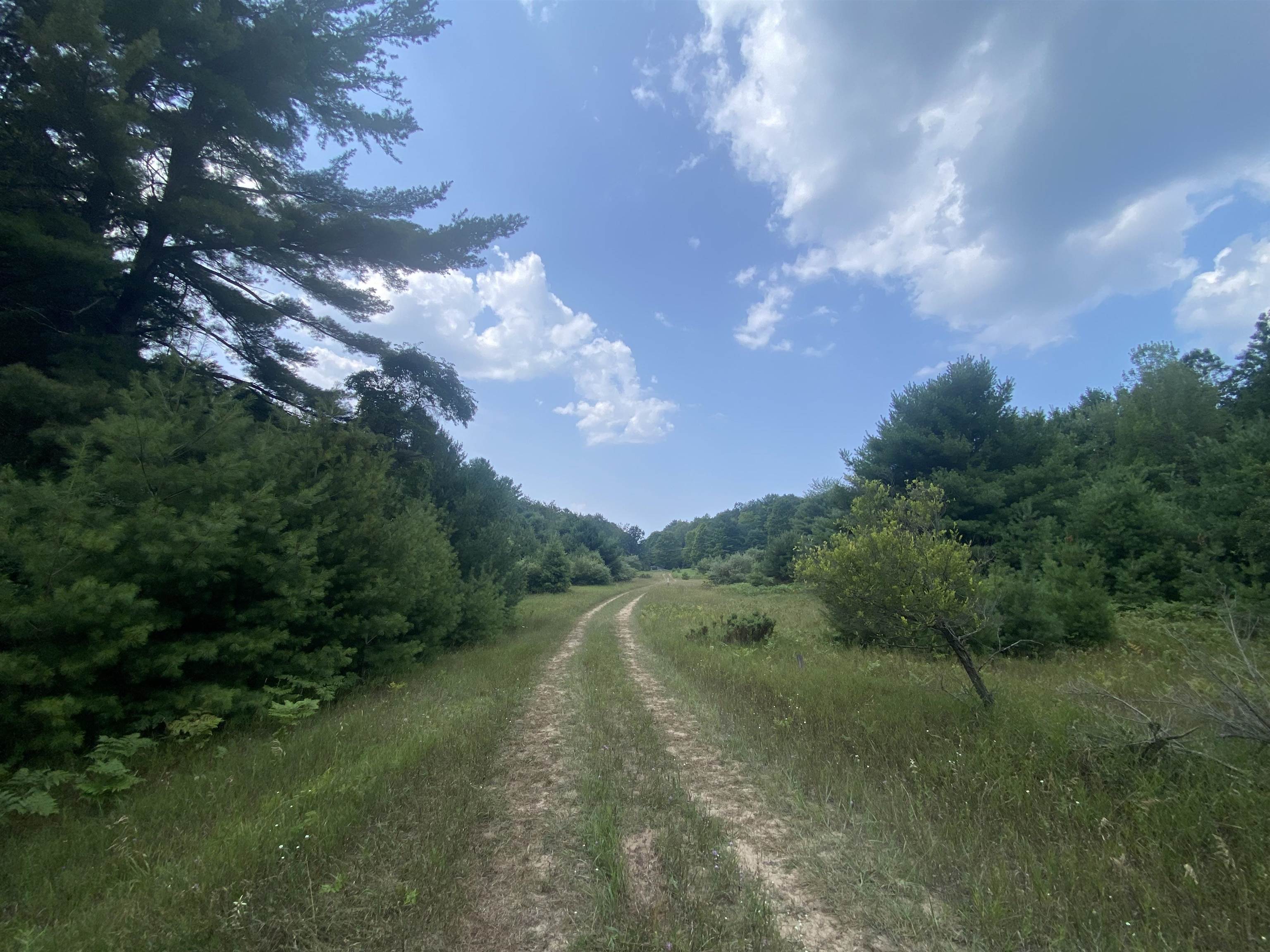 3091 Scenic Hills Drive Acme Township MI 49690