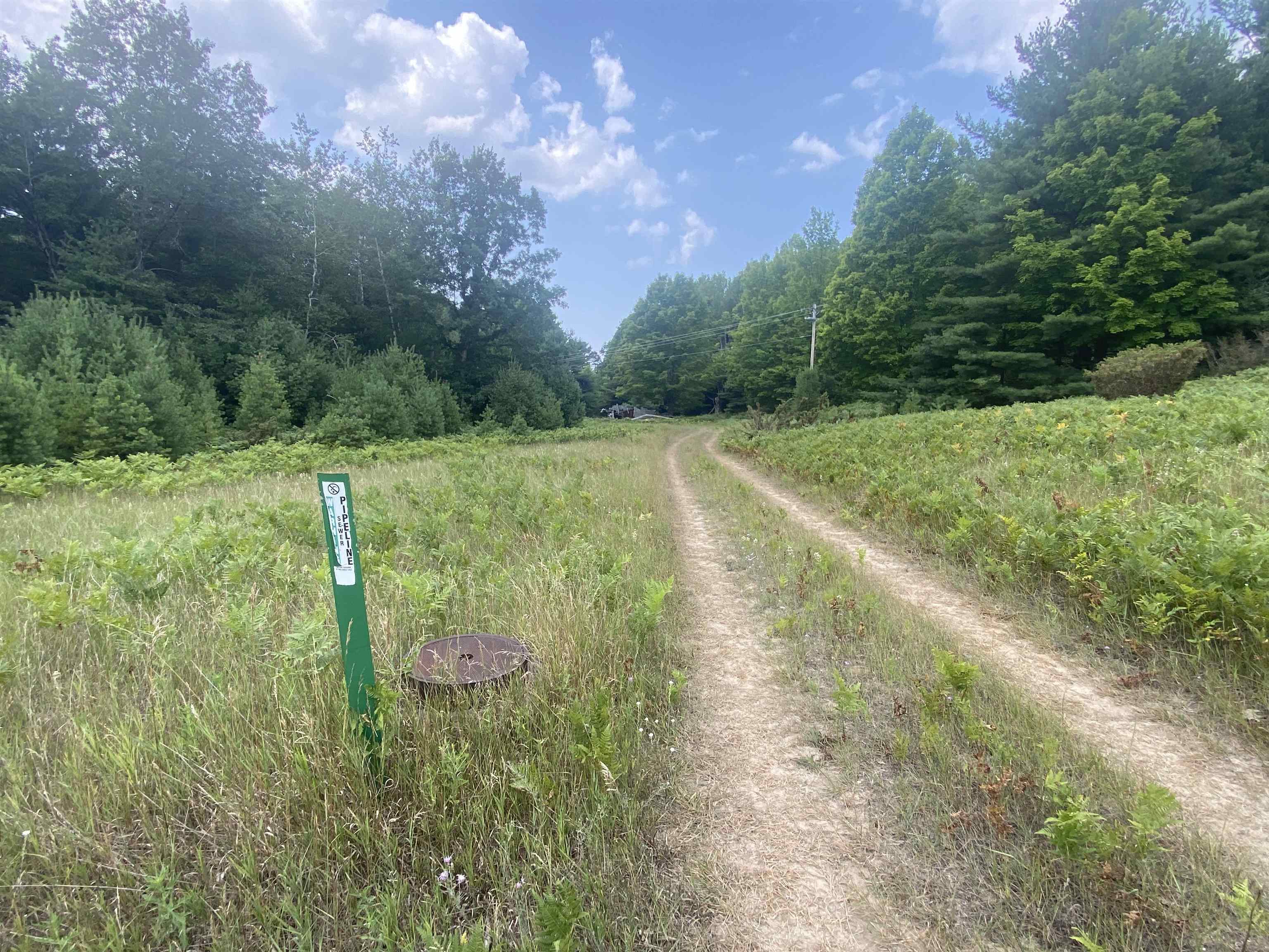 3091 Scenic Hills Drive Acme Township MI 49690